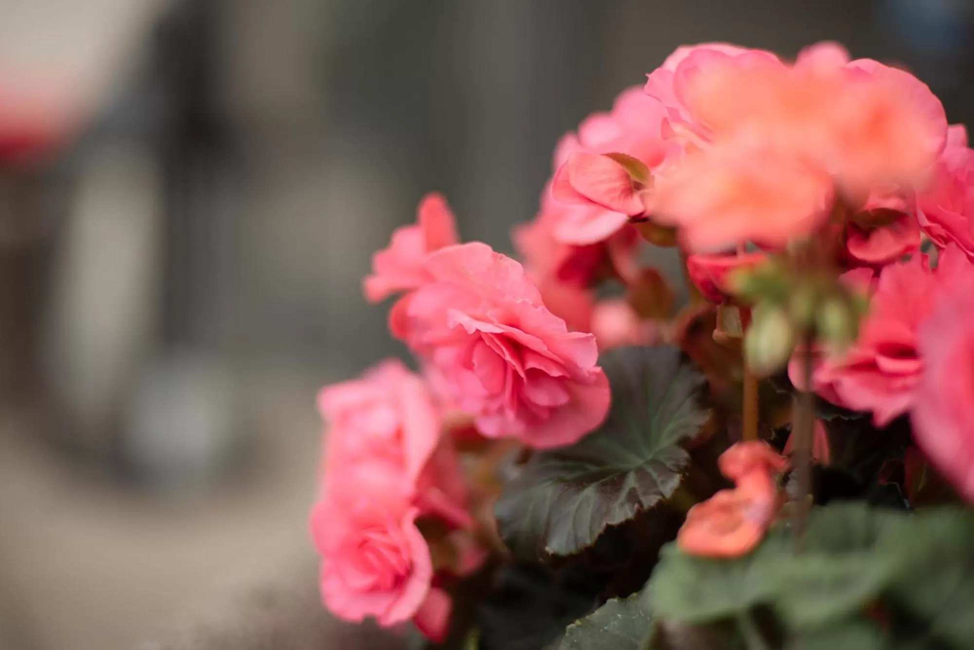 Property building in Hotel Das Kleine Ritz