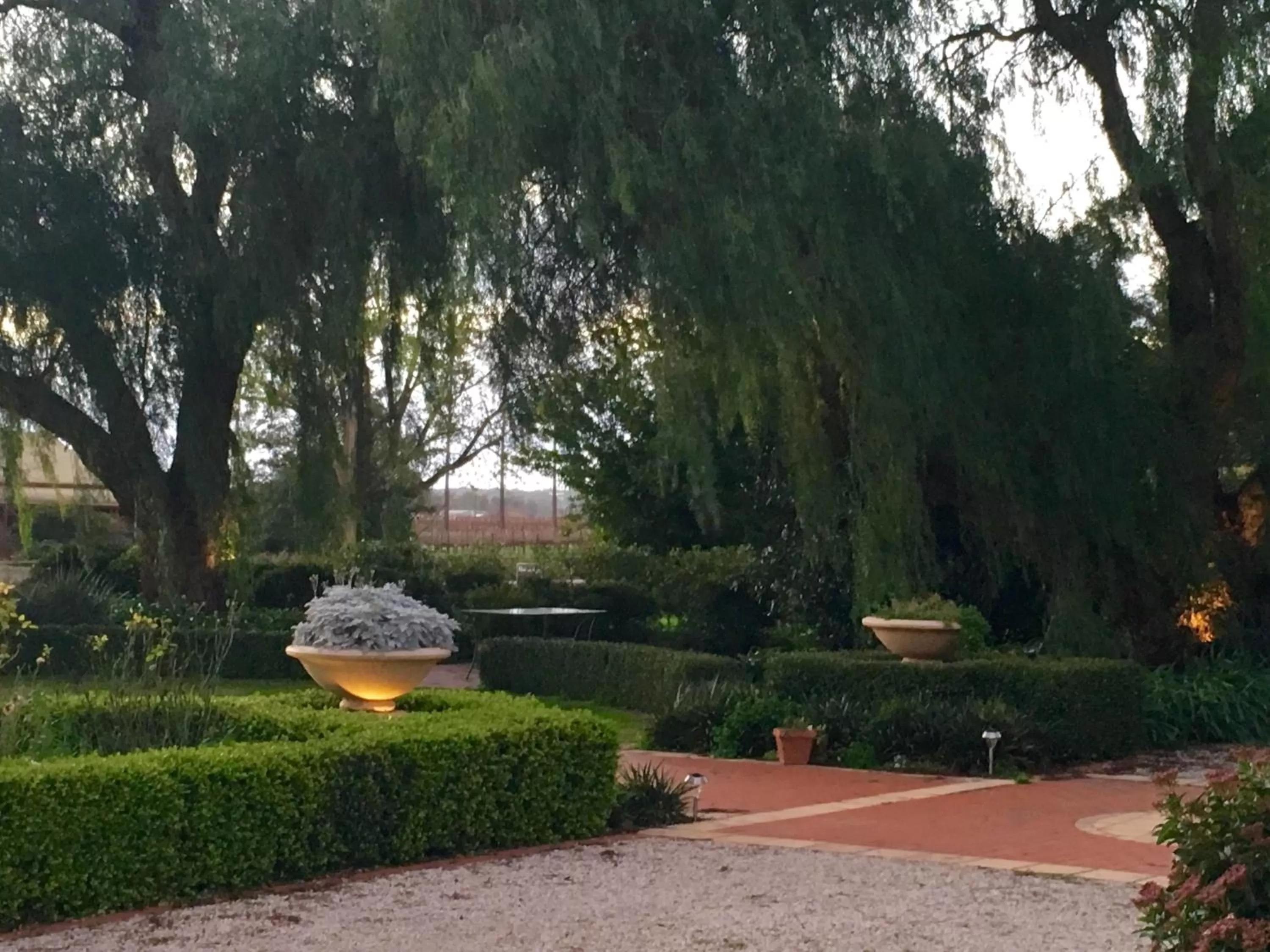 Garden view in Barossa House