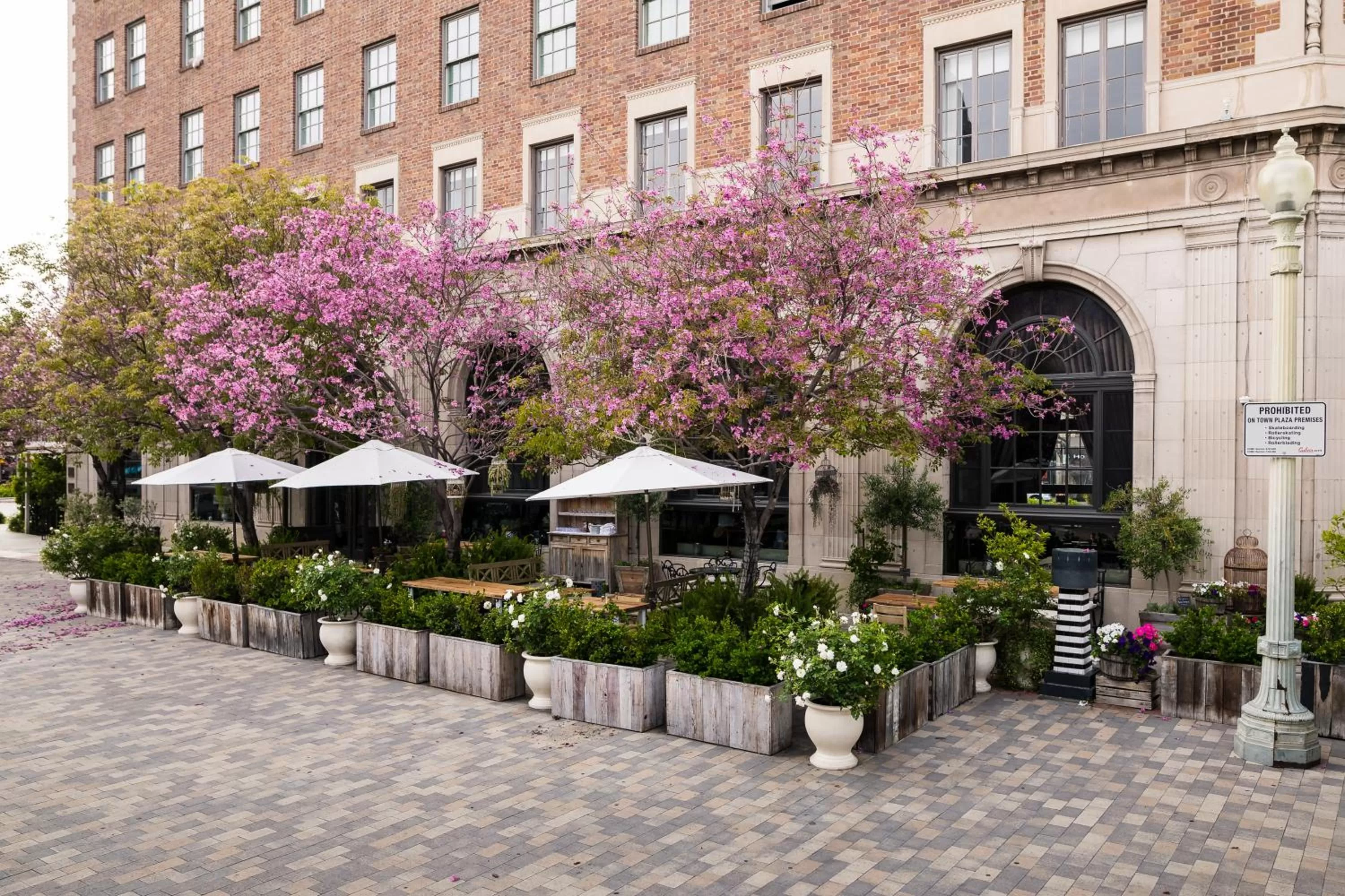 Restaurant/places to eat in The Culver Hotel