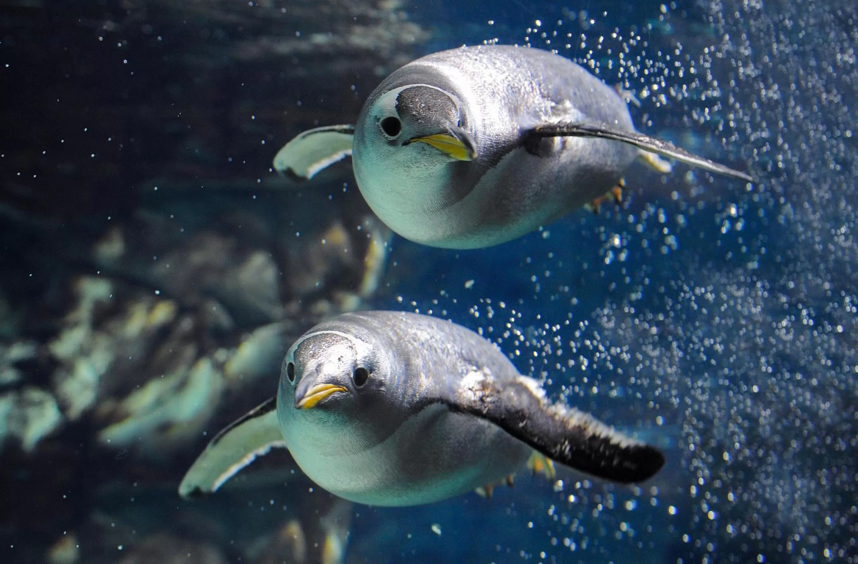 Nearby landmark in Hotel Astoria