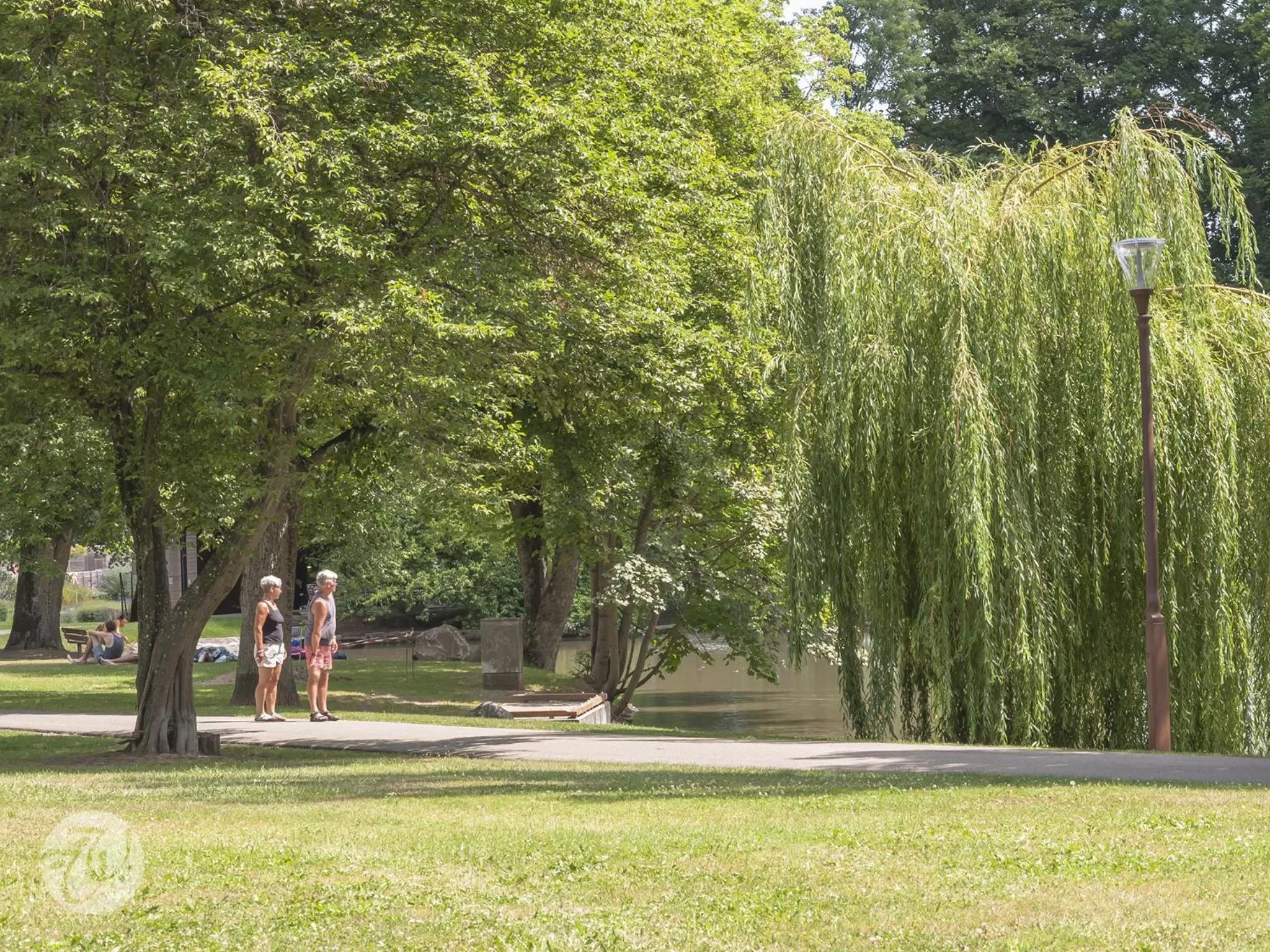 Natural landscape in Hotel Restaurant & Spa Verte Vallée