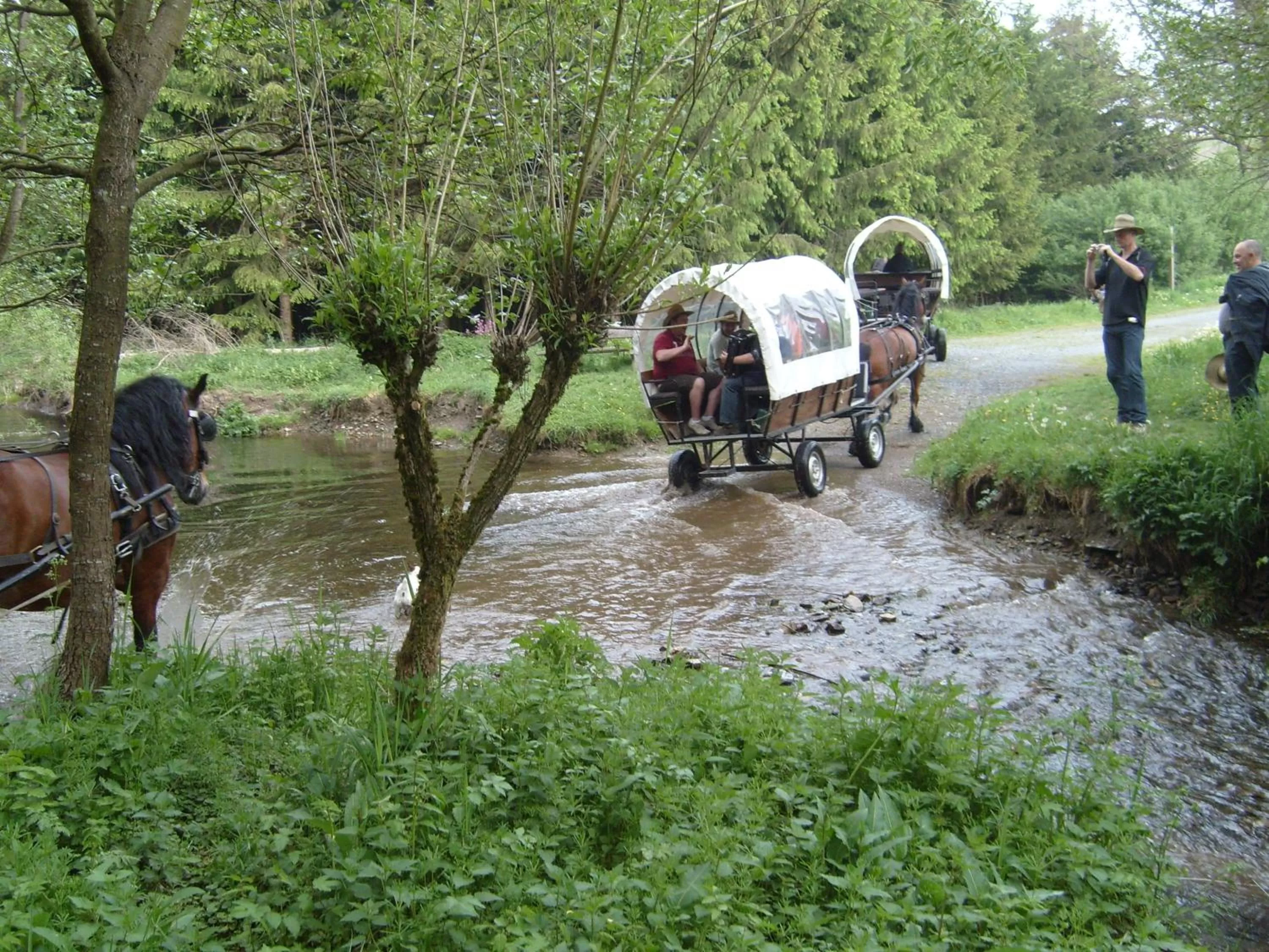 Entertainment in B&B Willow Springs Way Station