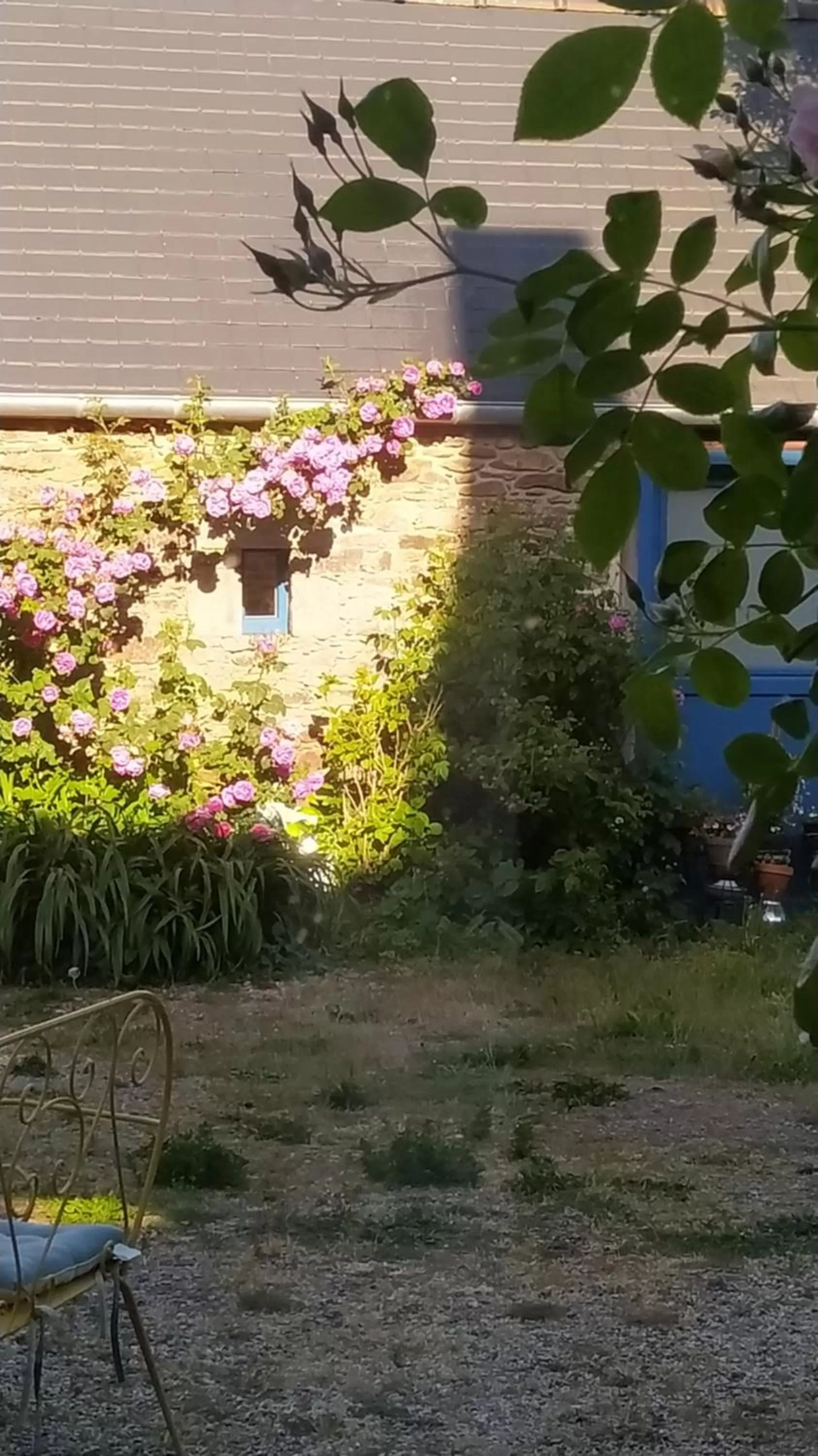 Garden in Ker Anahid - L'Atelier