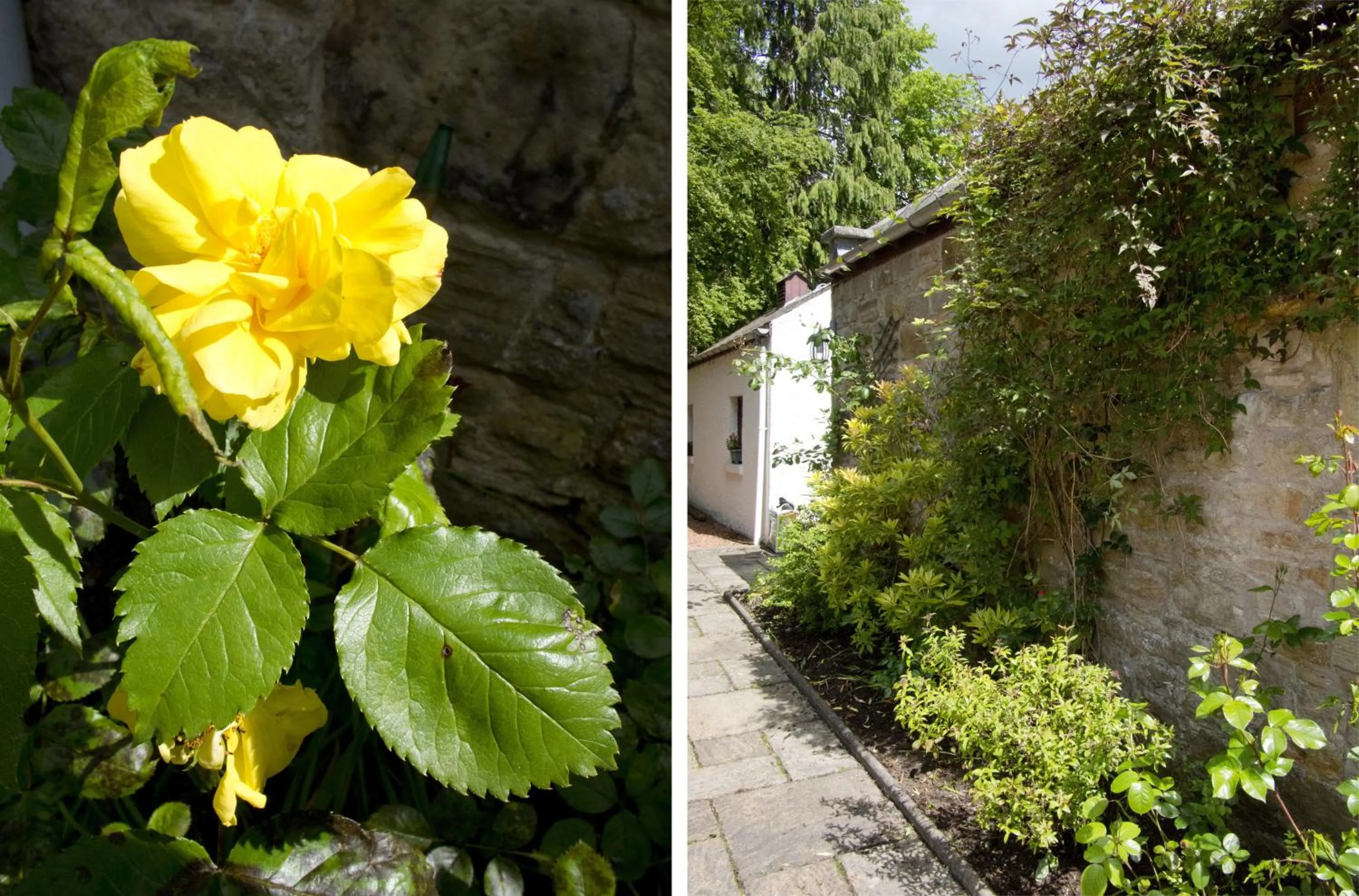 Decorative detail in Bankton House