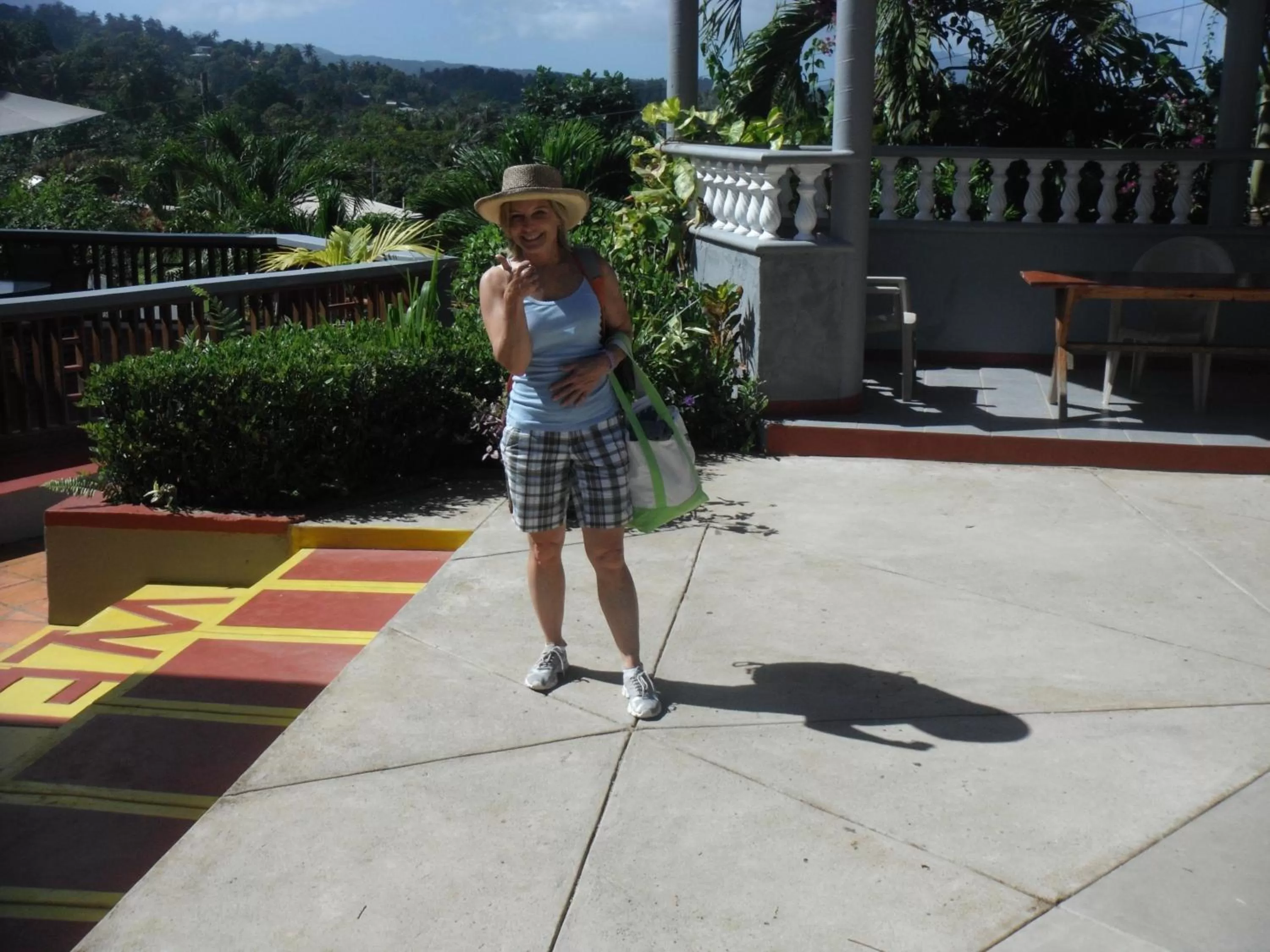 Bird's eye view in Classique International in Dominica