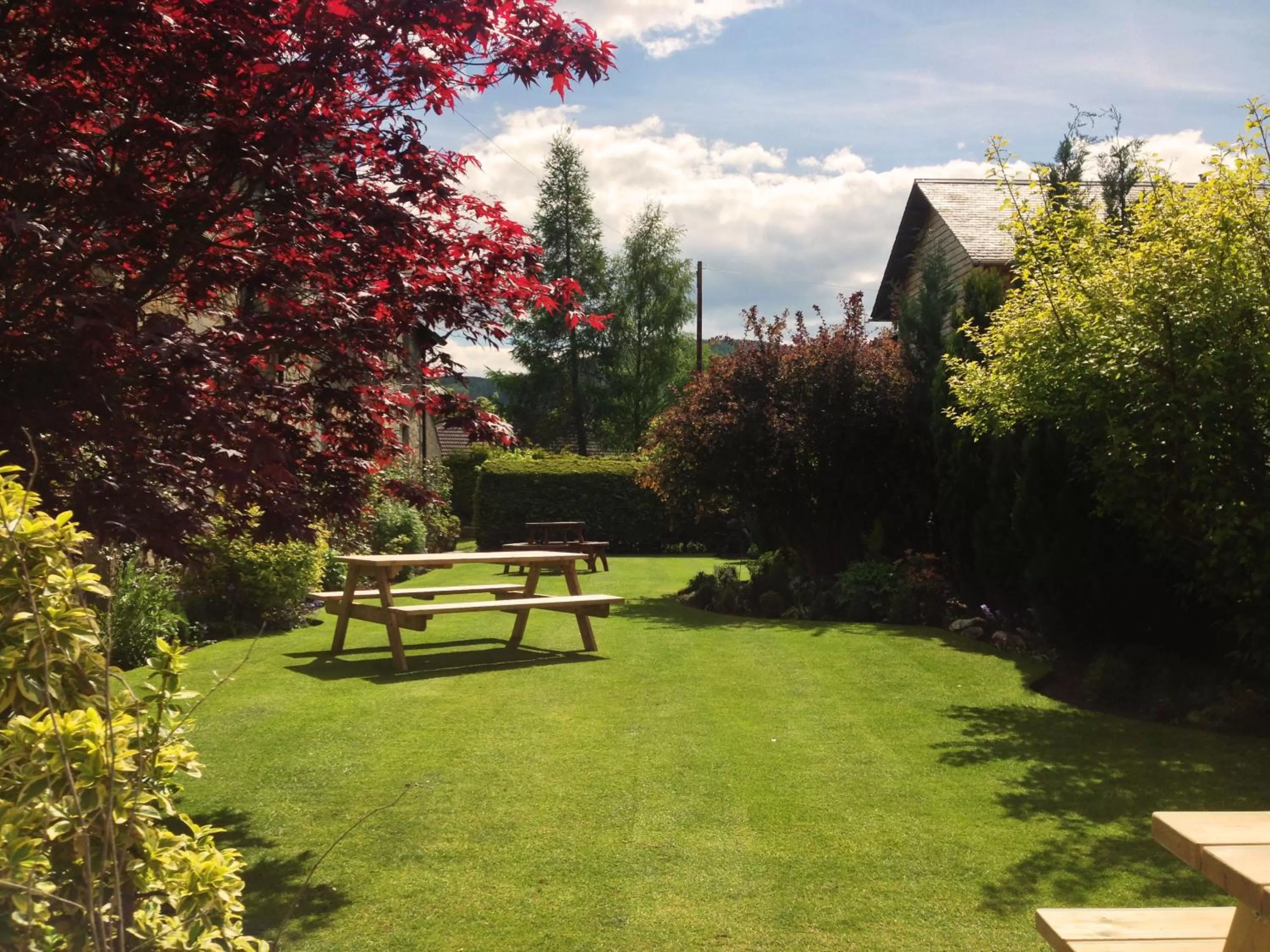 Garden in Buttonboss Lodge B&B