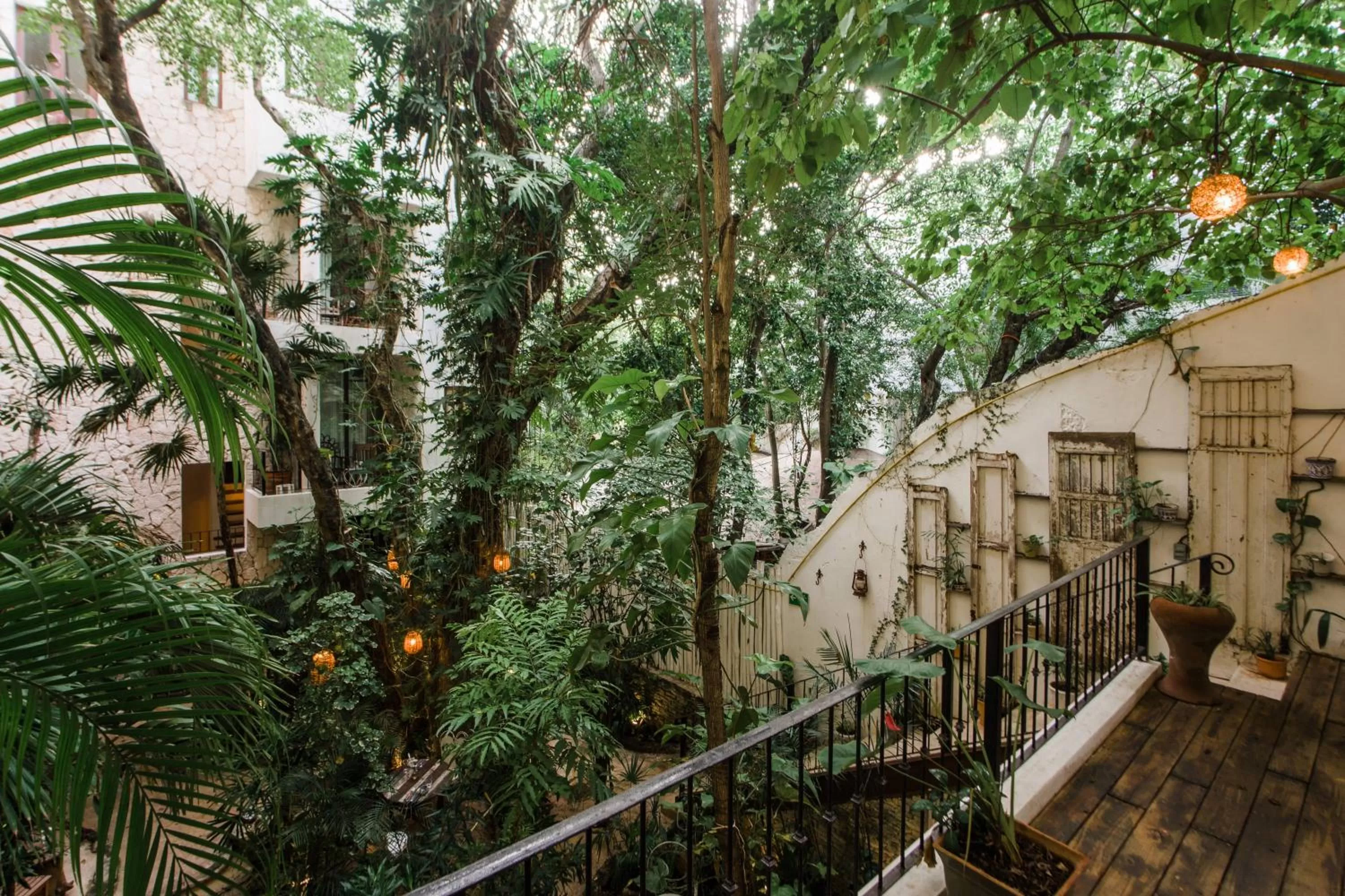 Natural landscape in Hotel La Semilla a Member of Design Hotels