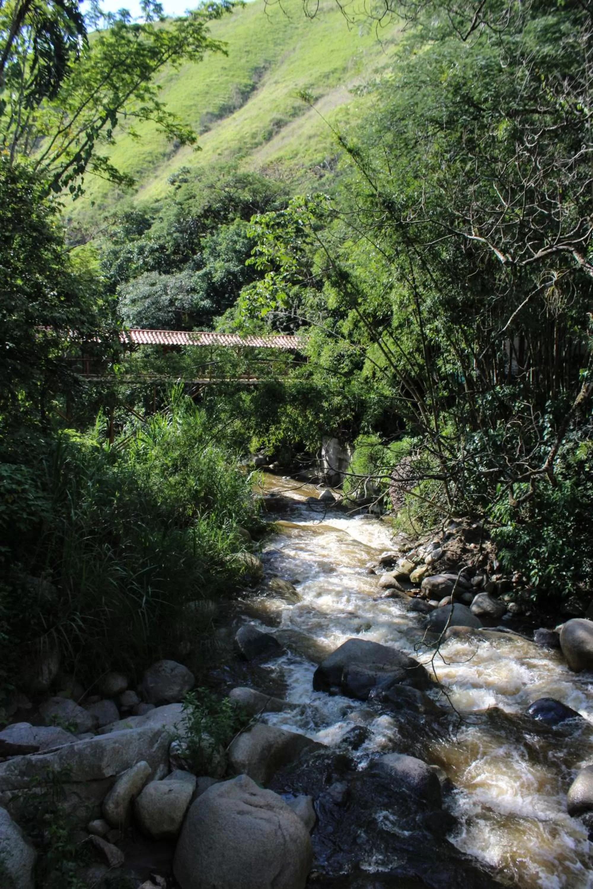 Natural landscape in Rio Escondido