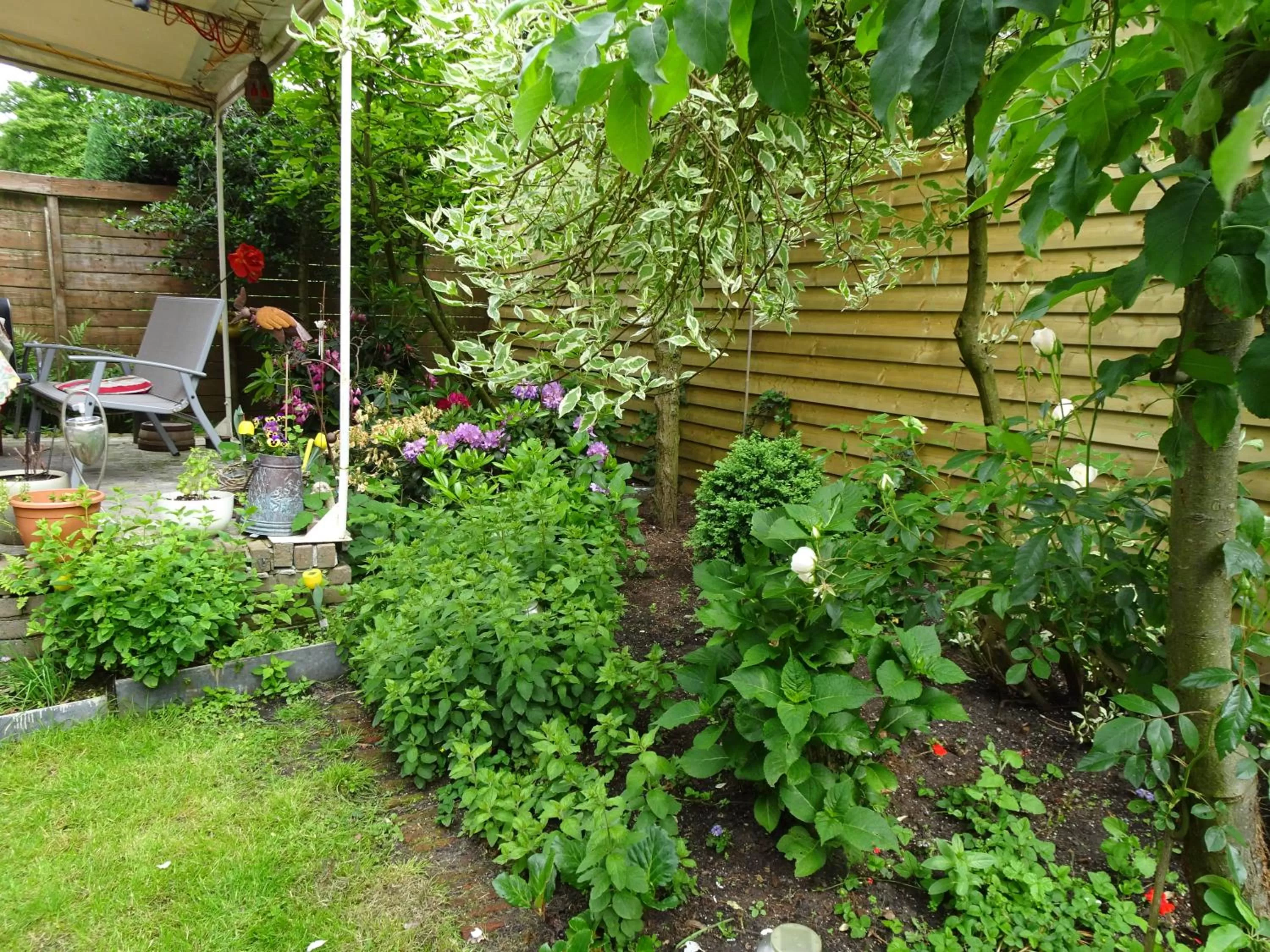 Patio, Patio/Outdoor Area in Xaviera's Bed and Breakfast