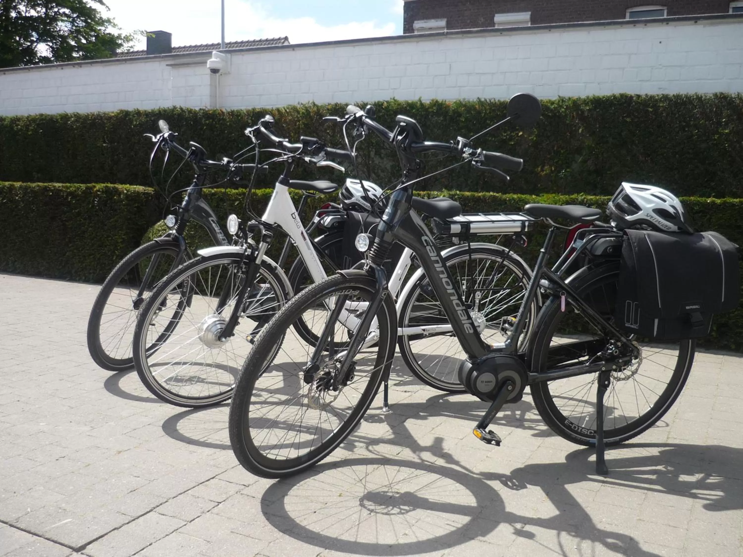 Day, Biking in B&B Herenhuis