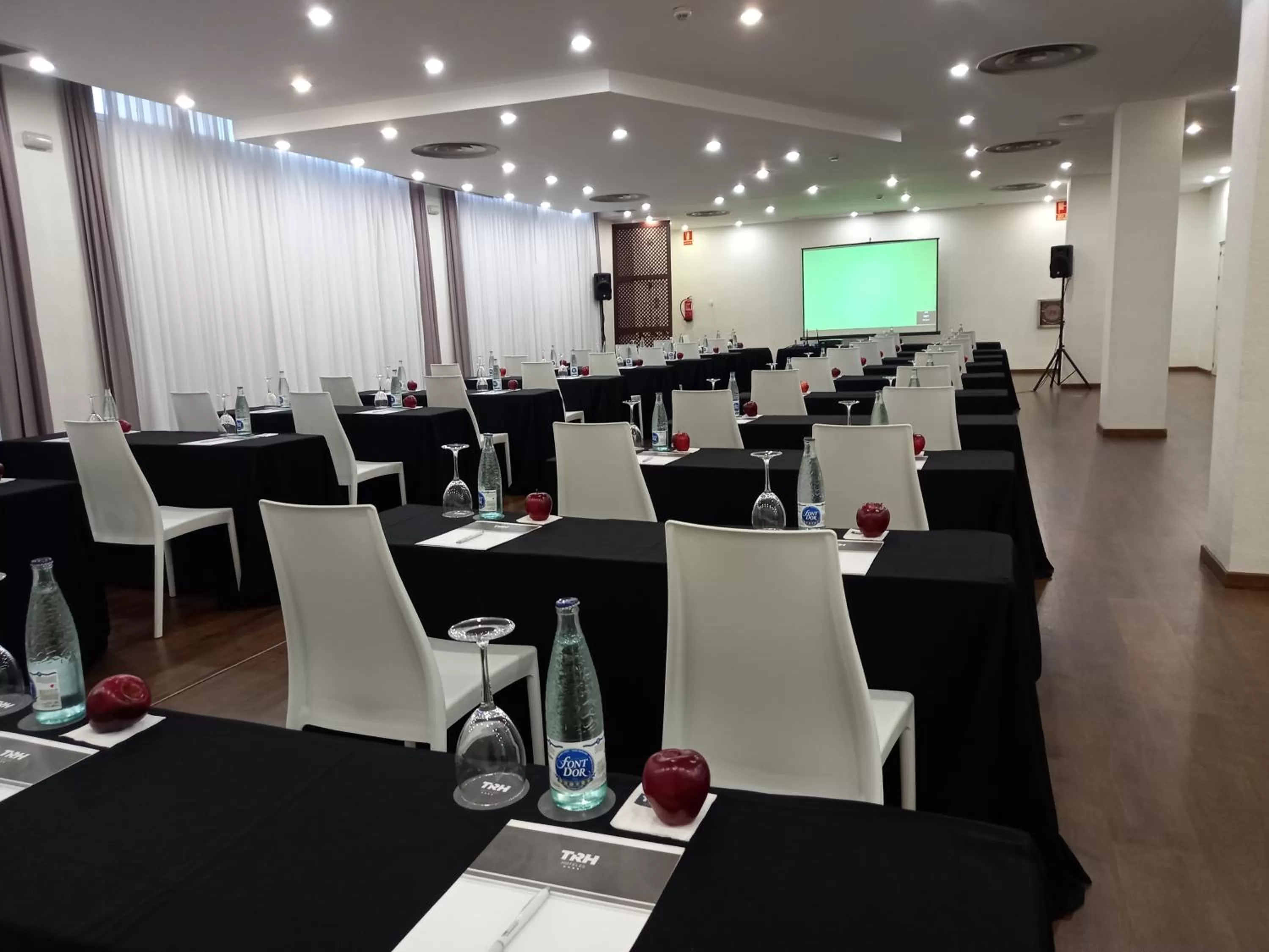 Meeting/conference room in Hotel TRH La Motilla