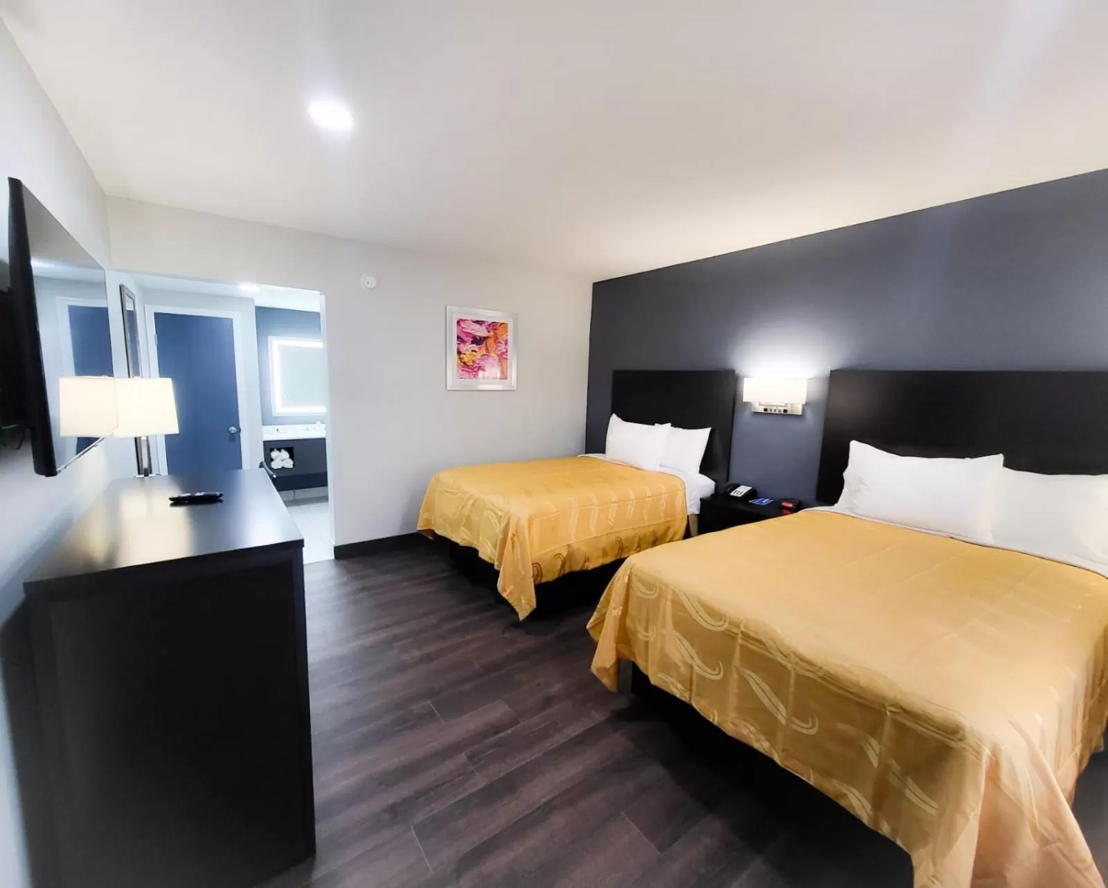 Photo of the whole room, Bed in Rodeway Inn Norfolk