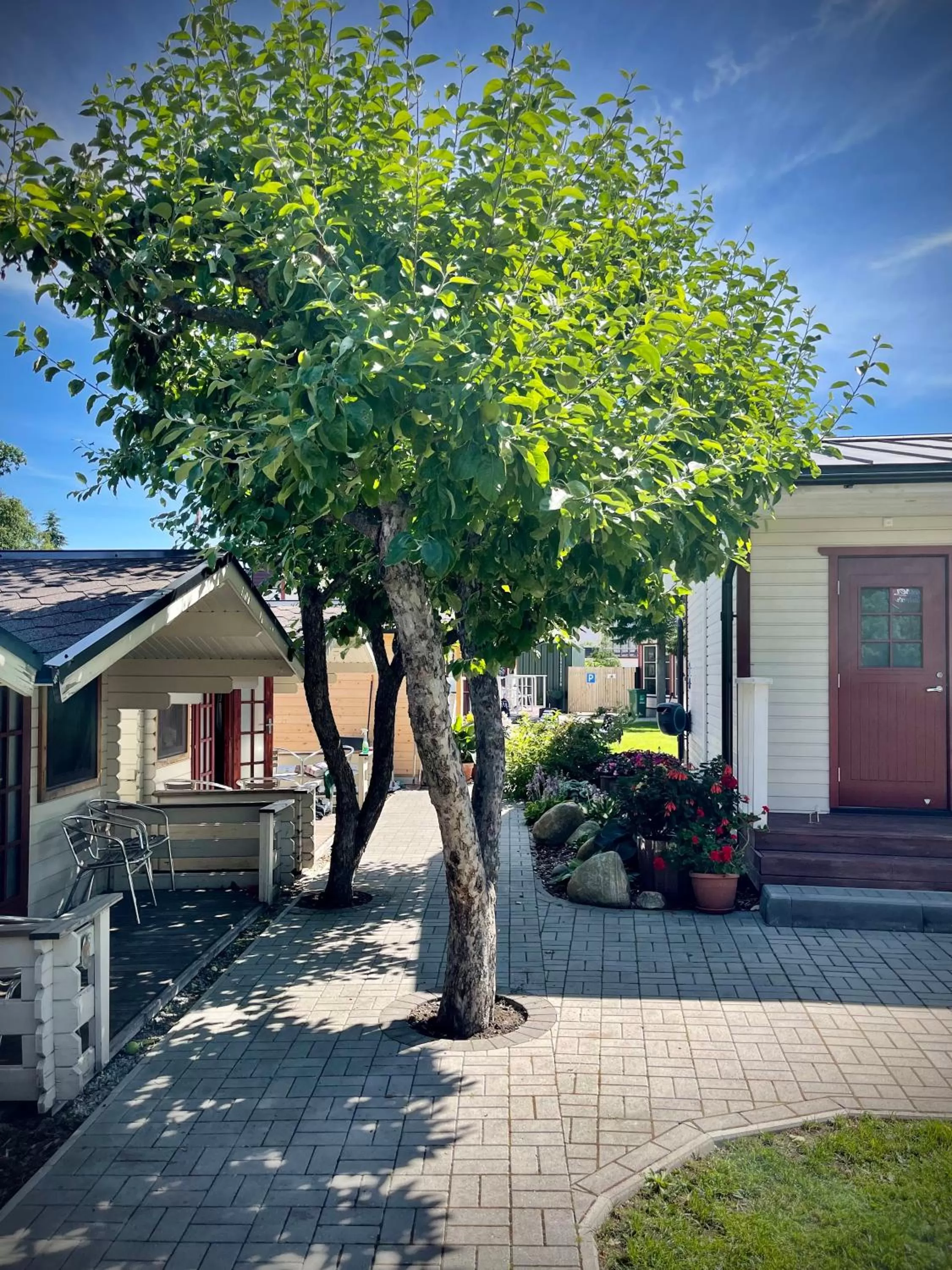 Property Building in Aleksandri Guesthouse