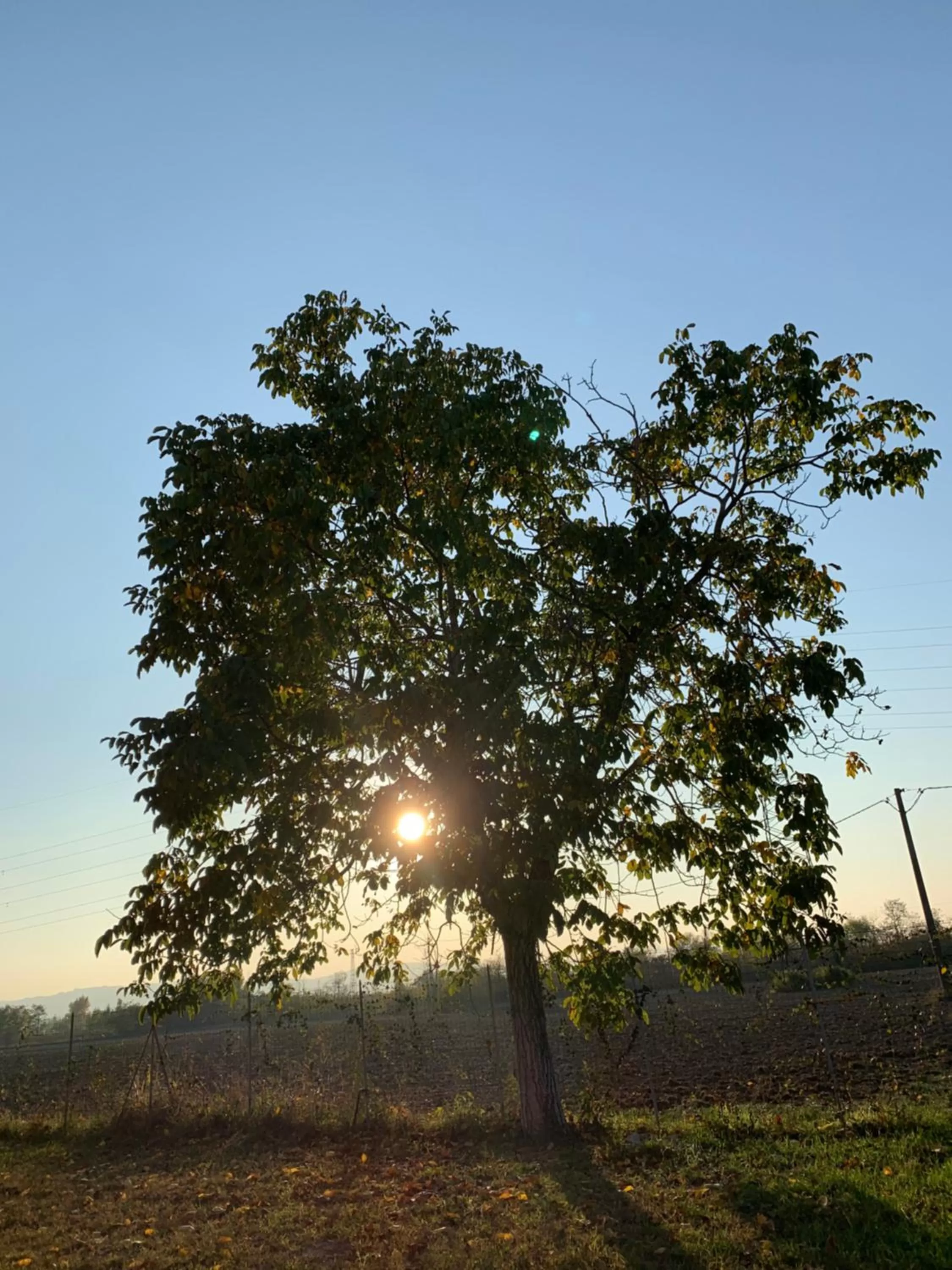 Sunrise/Sunset in Sala dell Estate Guest House