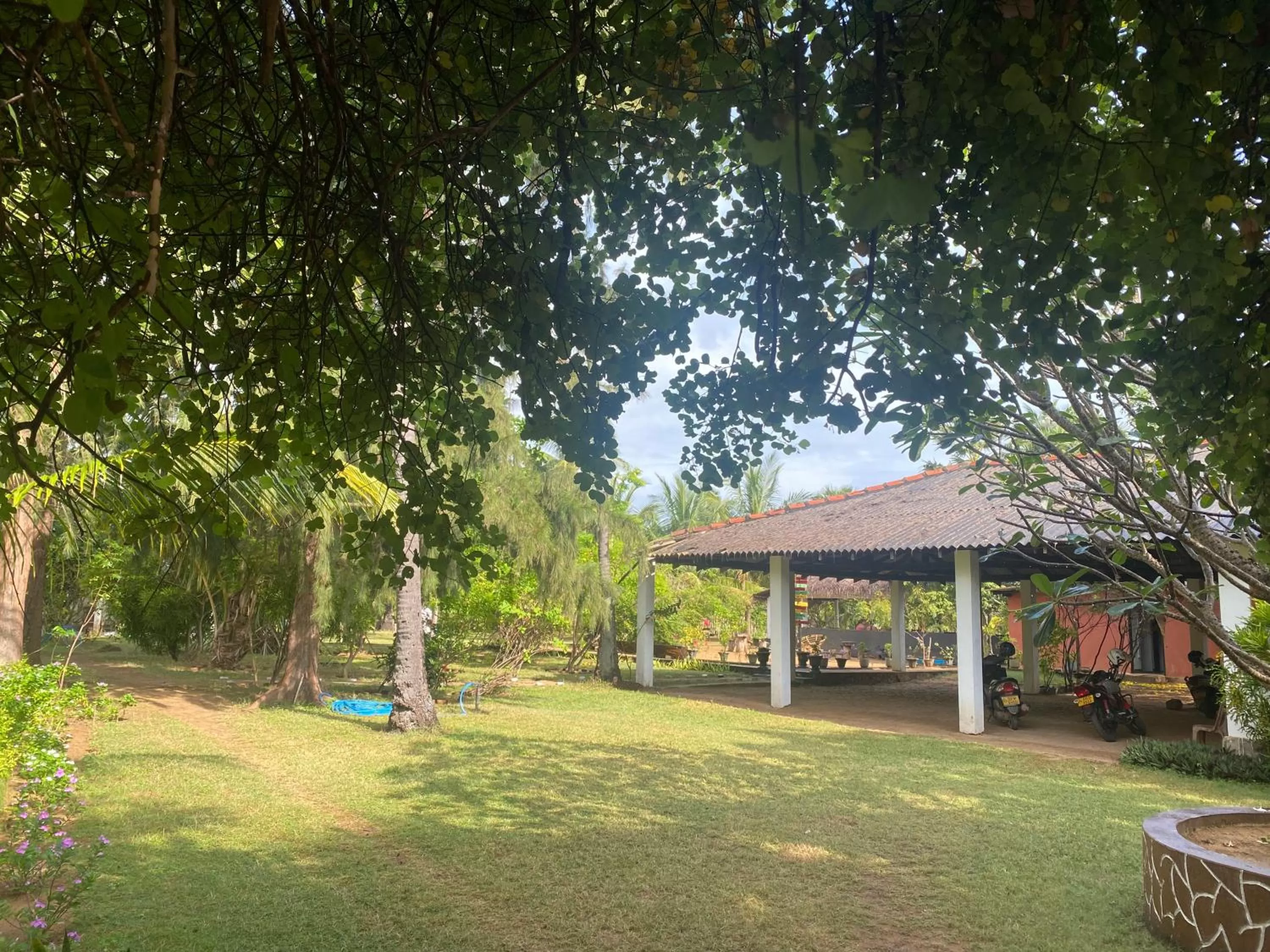 Garden in 108 Palms Beach Resort