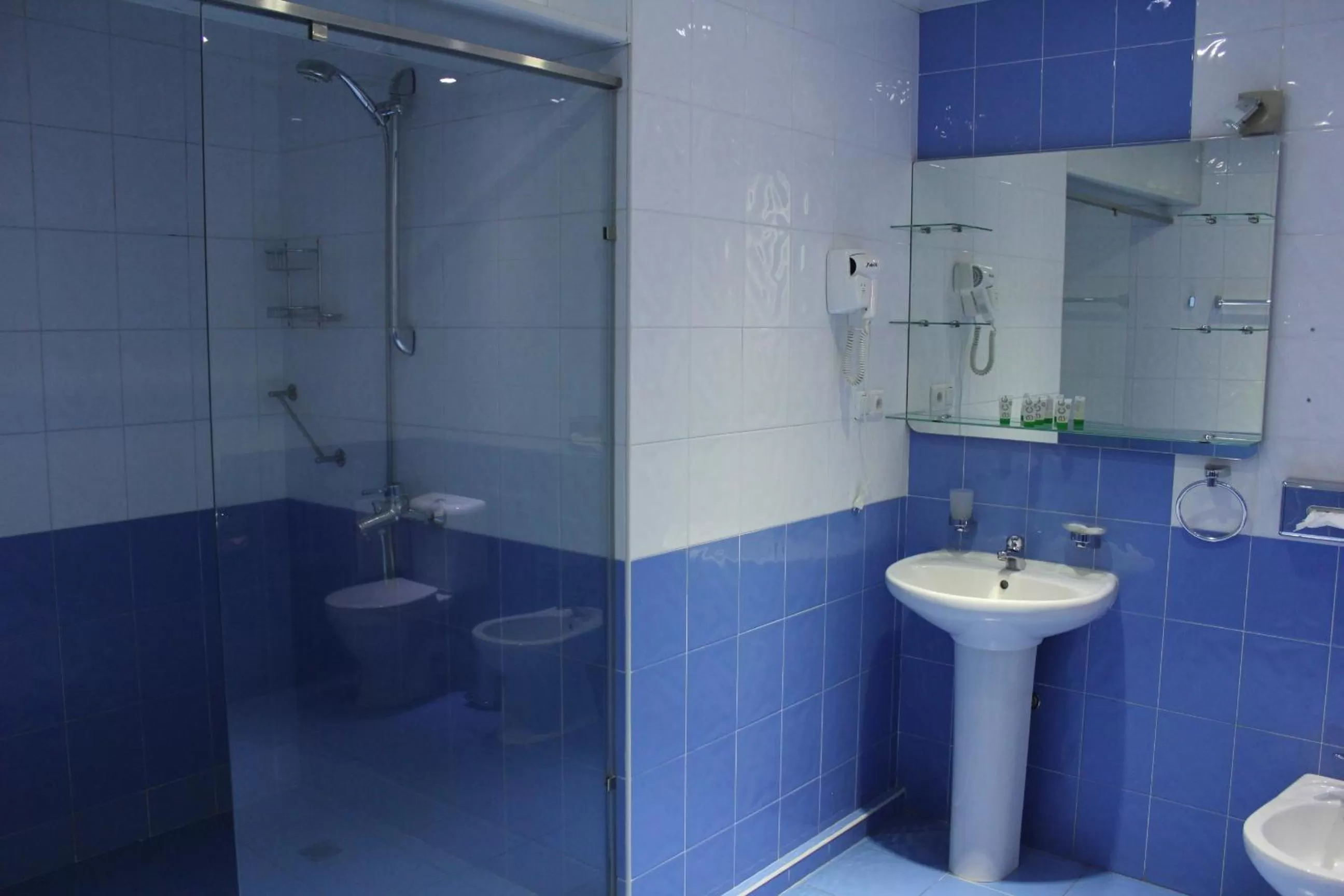 Bathroom in Erebuni Hotel Yerevan