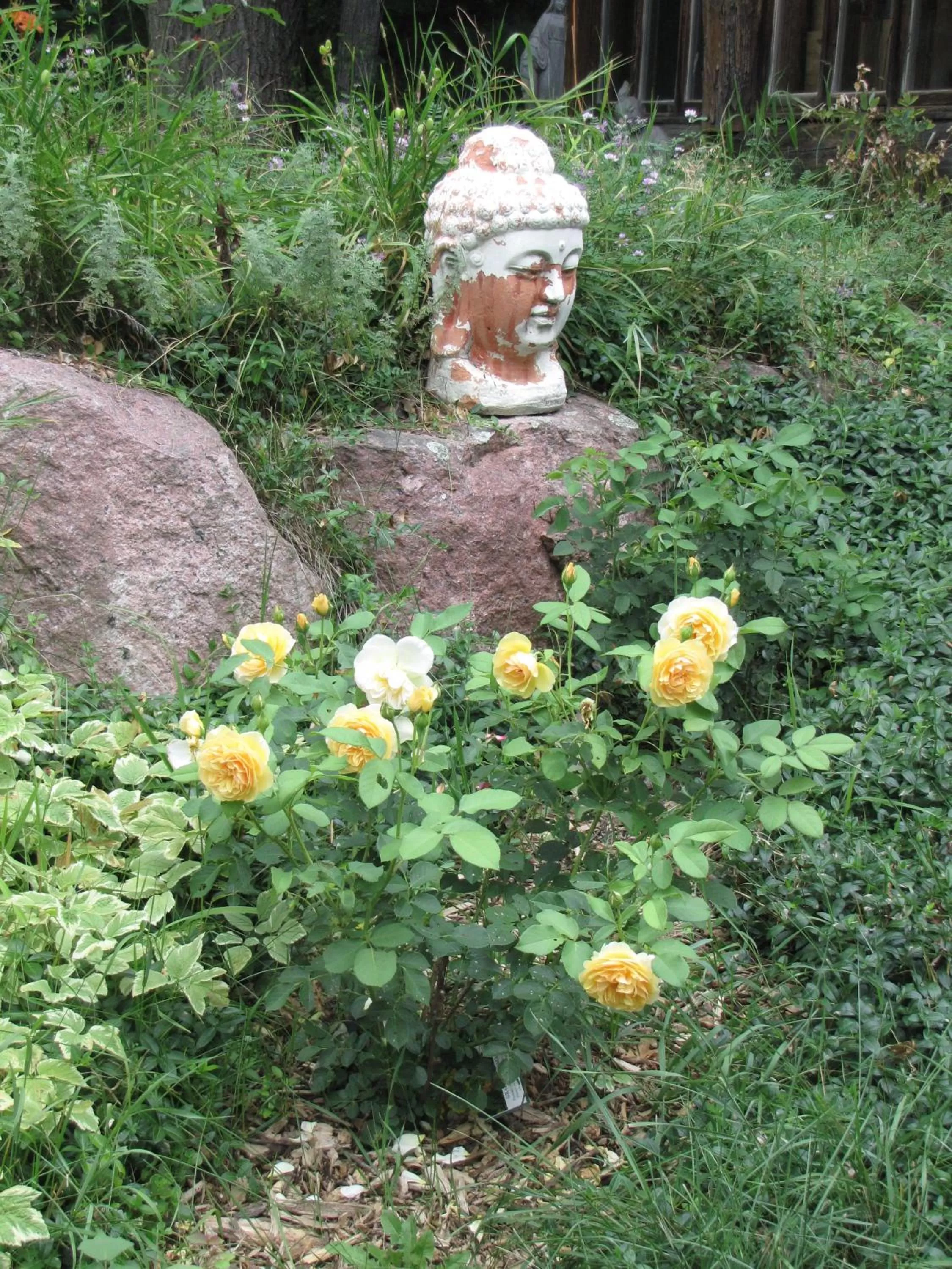 Garden in Shambhala Bed and Breakfast