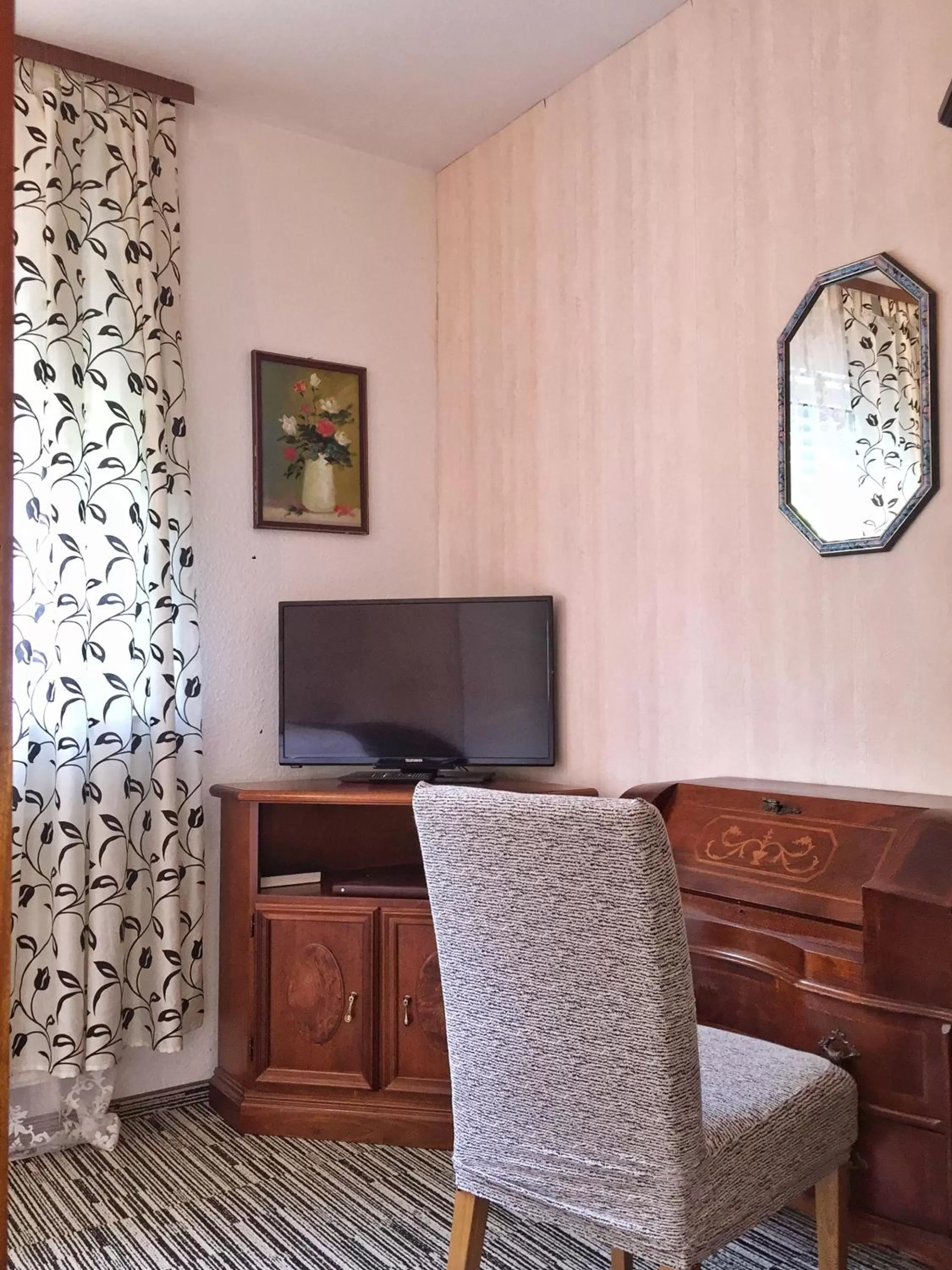 TV and multimedia in Hotel Attaché