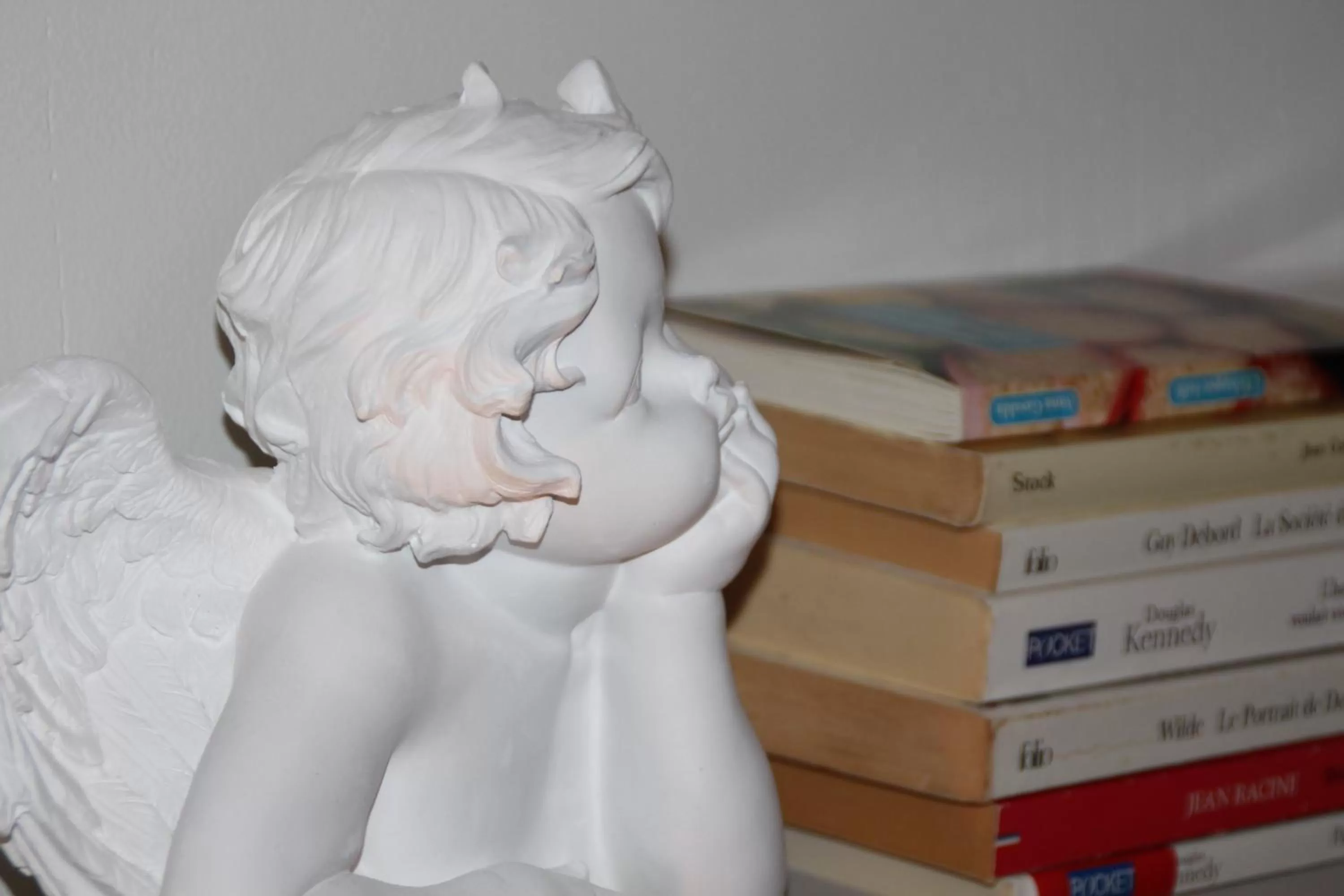 Library in Une Chambre en Ville