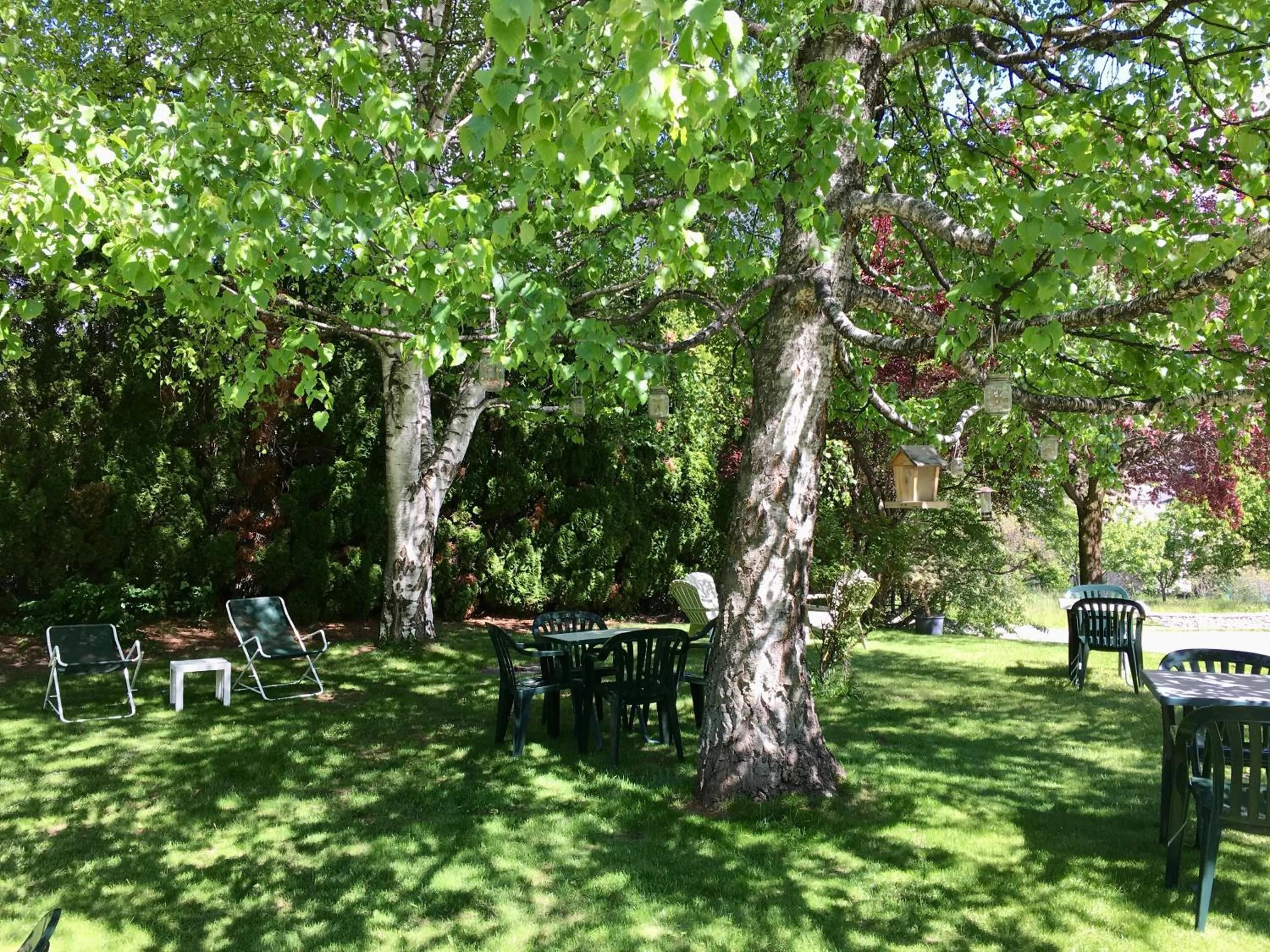 Garden in Le Catinat Fleuri