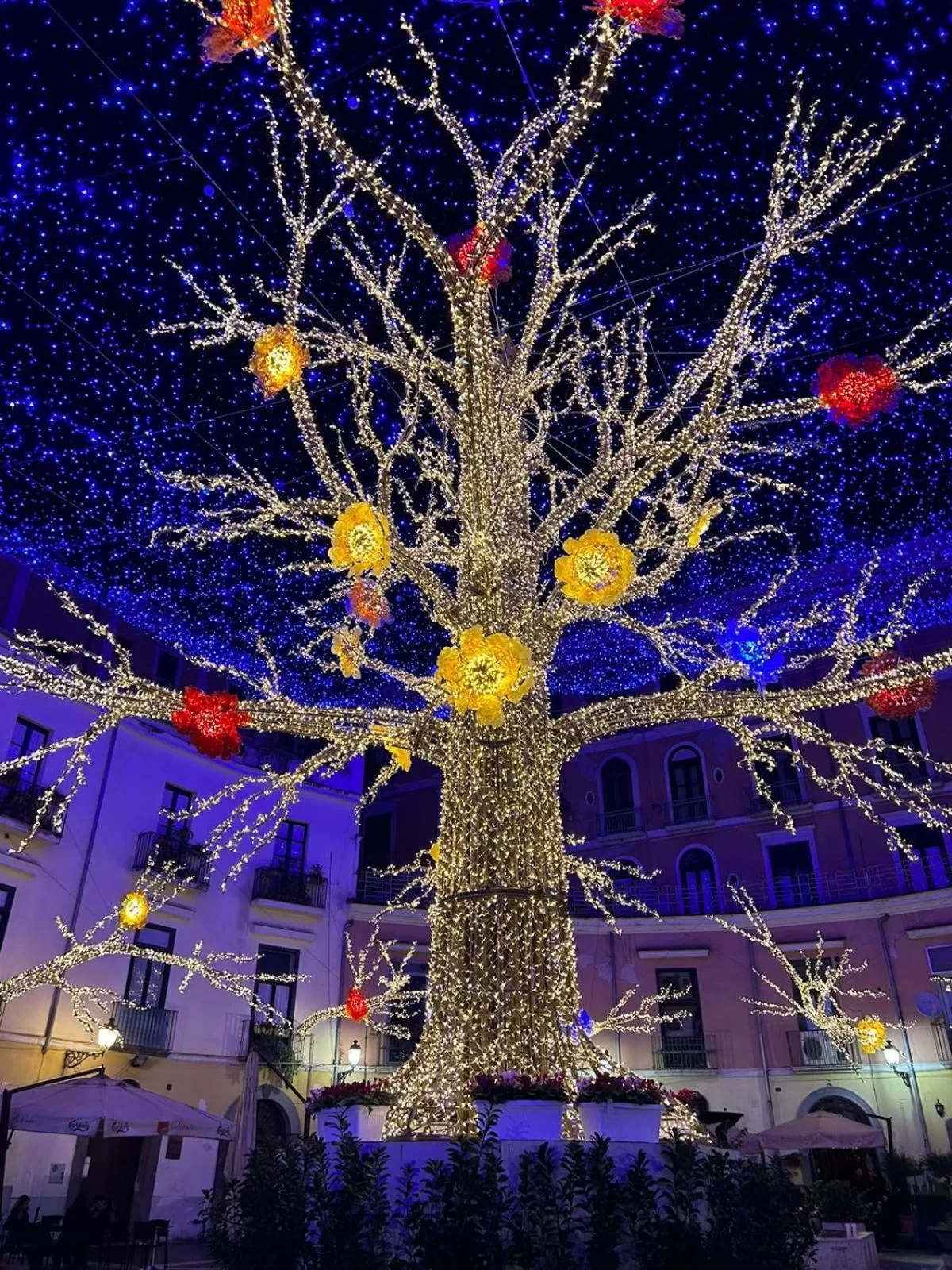 Night in TIZIANA'S HOUSE