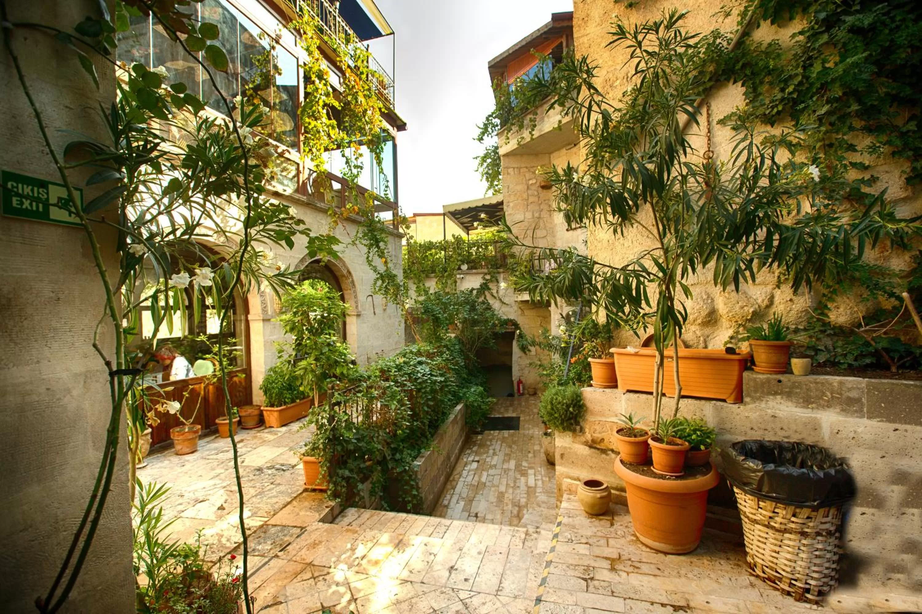 Garden in Hidden Cave Hotel