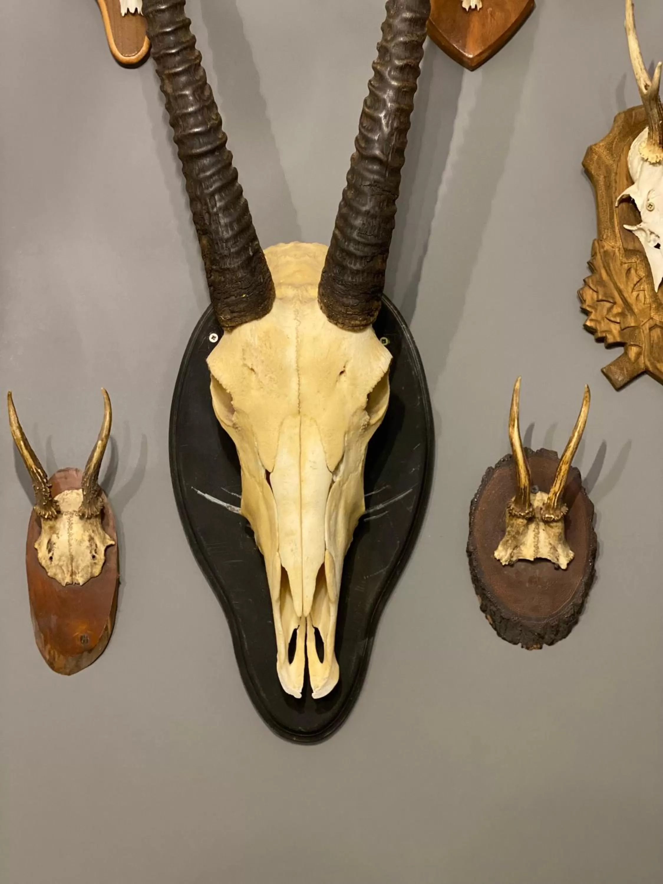 Property building in A Fogadó