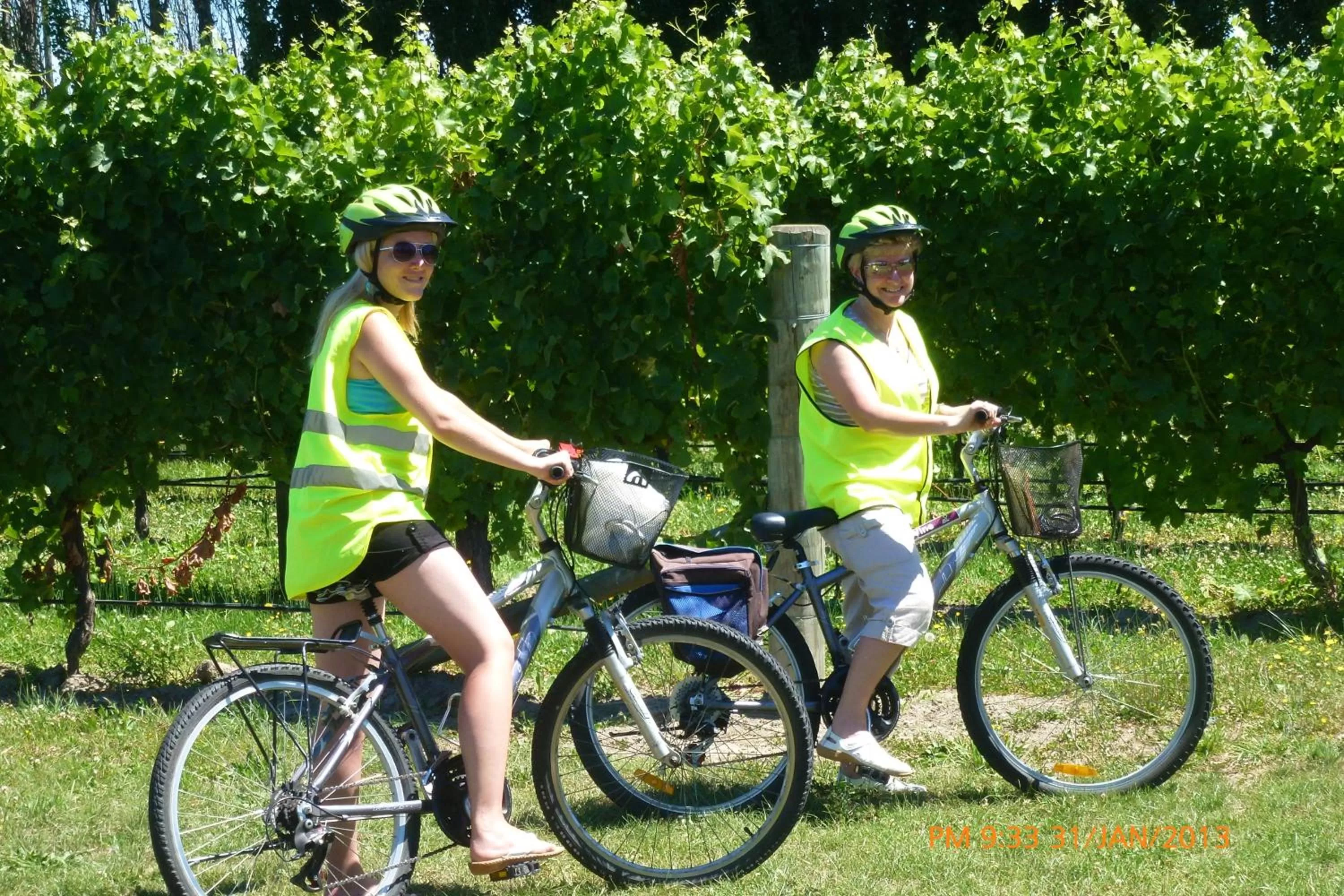 Activities, Biking in Olde Mill House B&B & Bike2Wine cycle hire