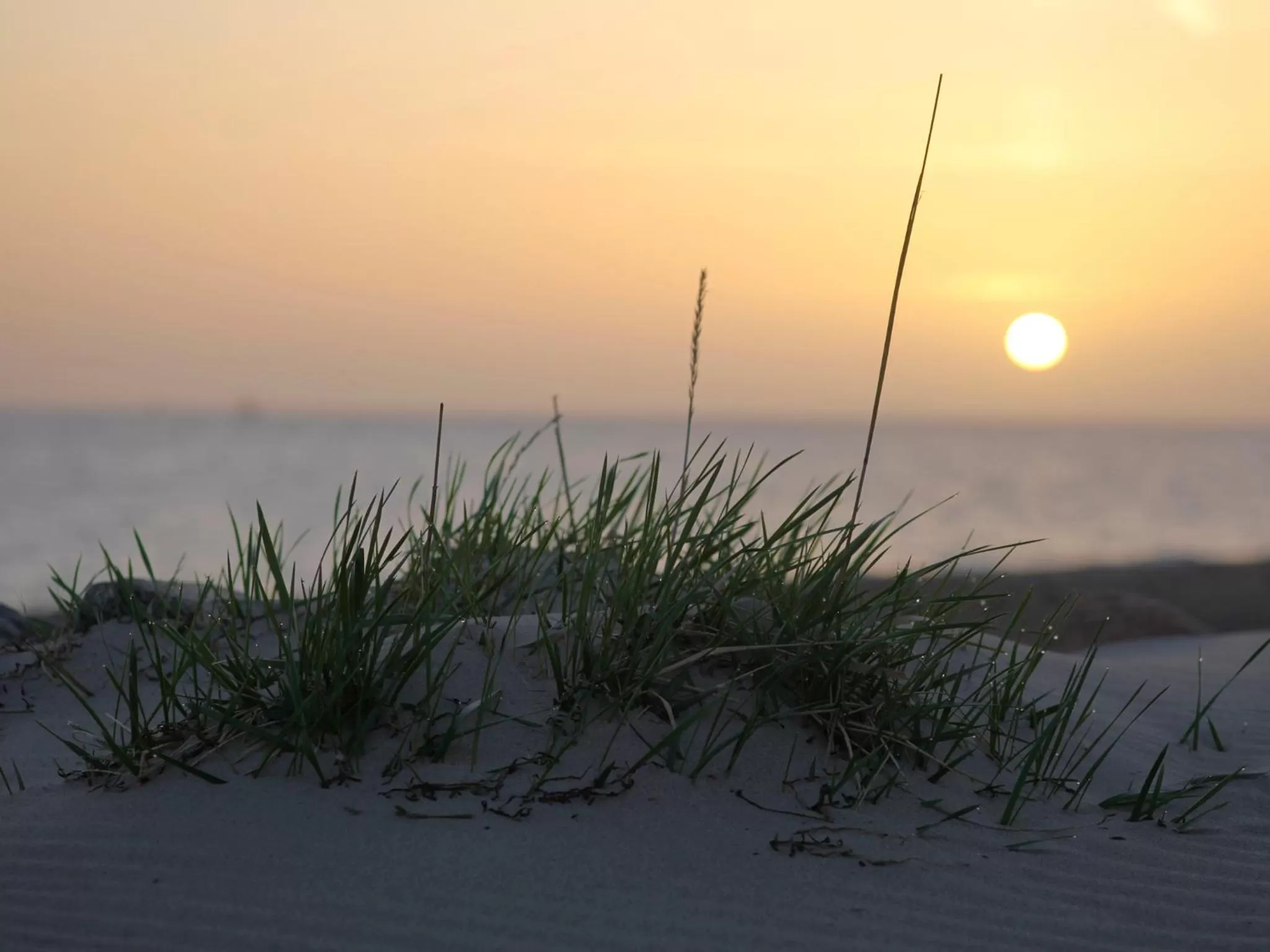 Beach in Lieblingsplatz Hotel Strandperle