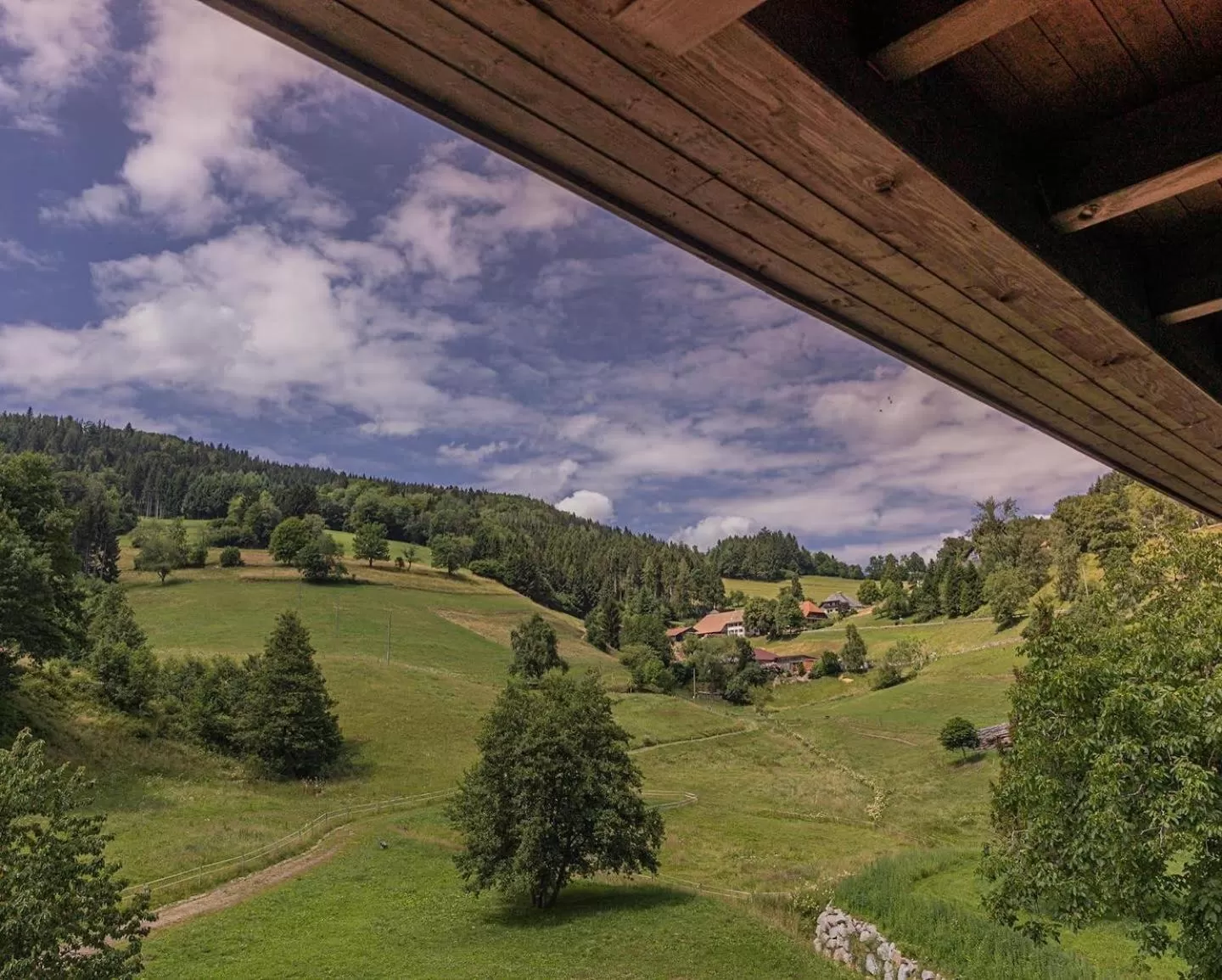 Mountain view in Wohlfühlhotel Landmann