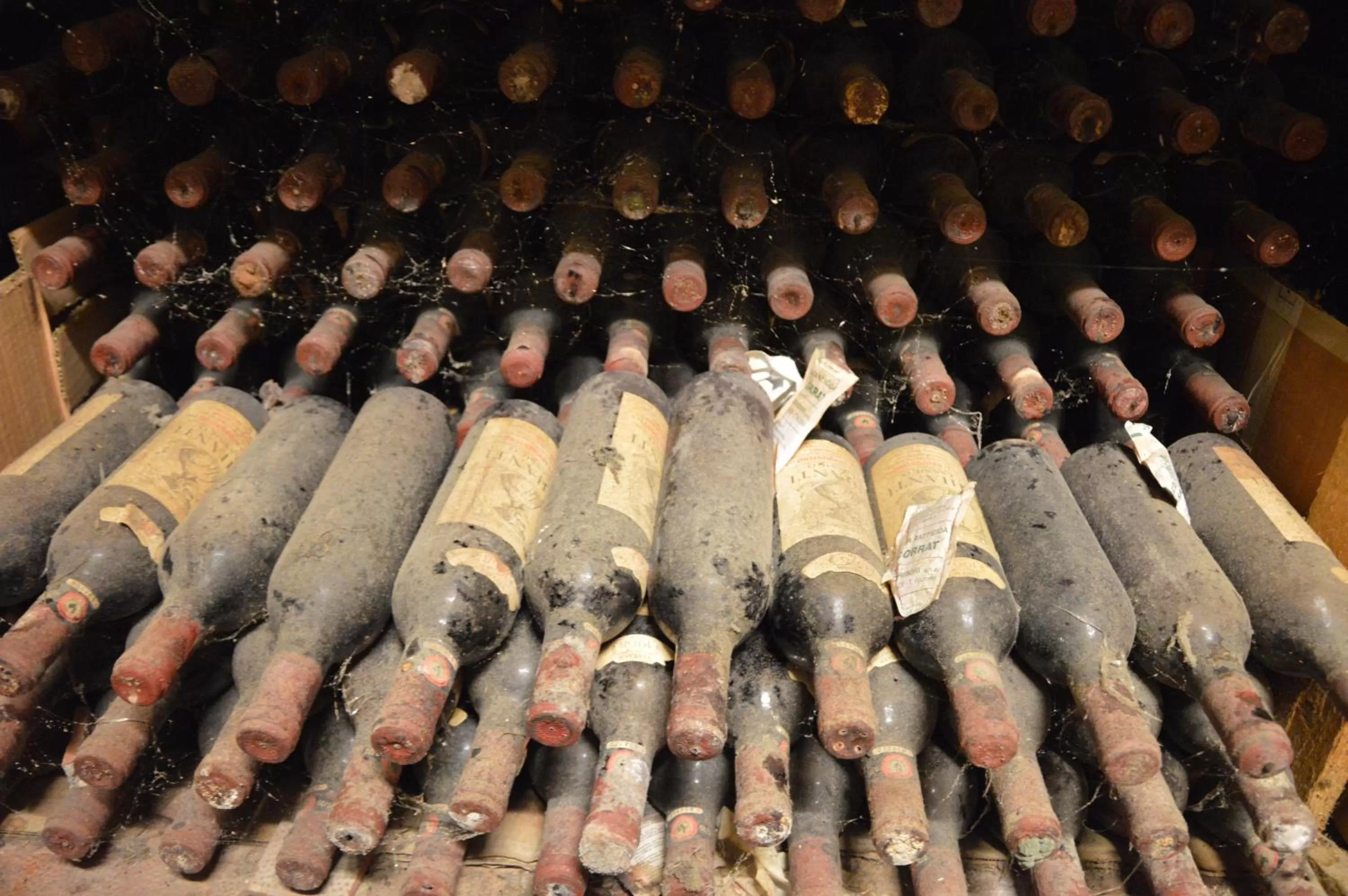 Other in Hotel President