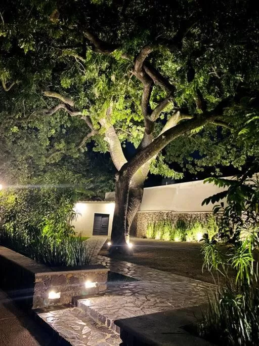 Night in Tatala Hotel & Garden