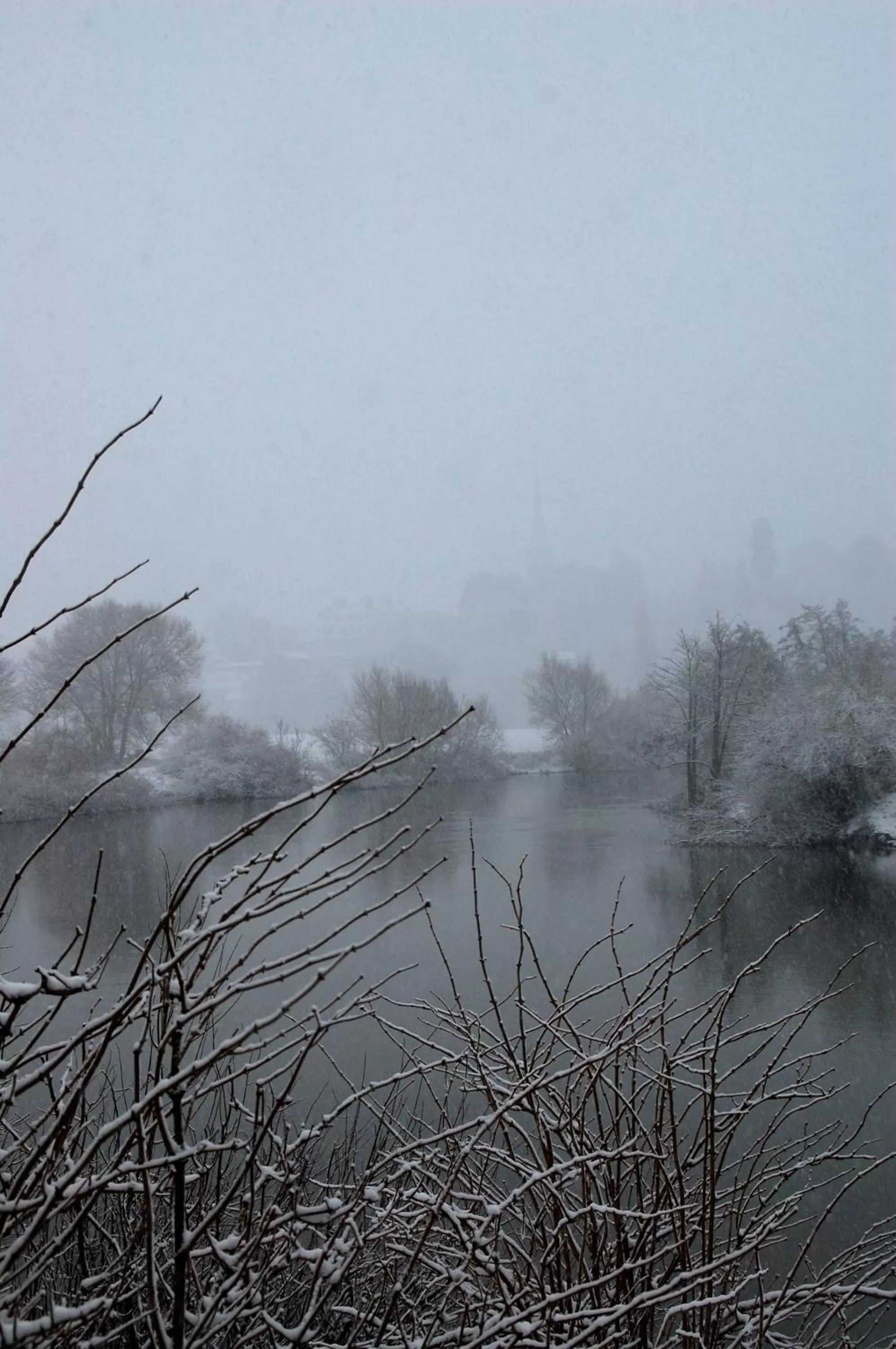 Natural landscape, Winter in The Bridge House