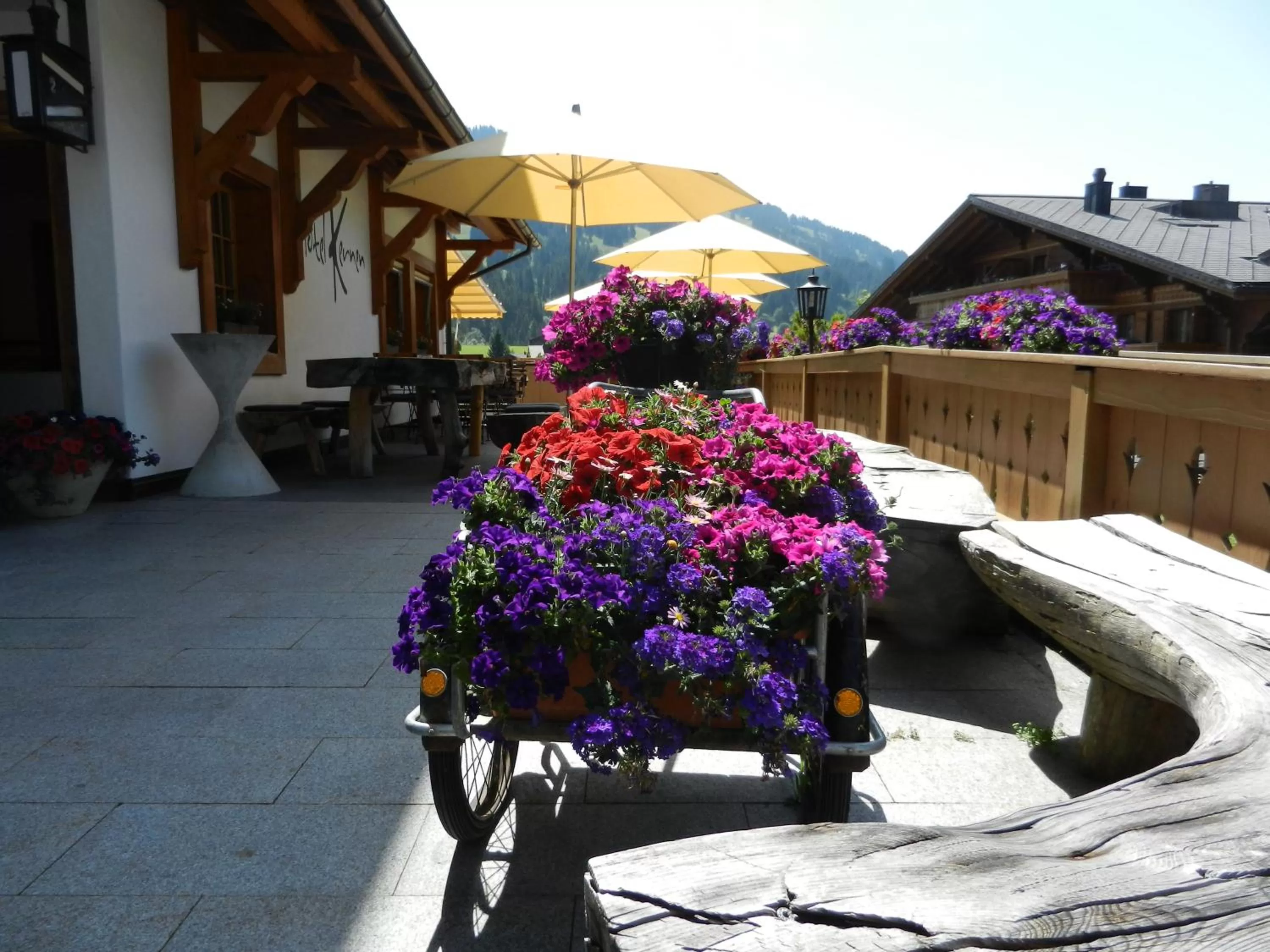 Patio in Hotel Kernen
