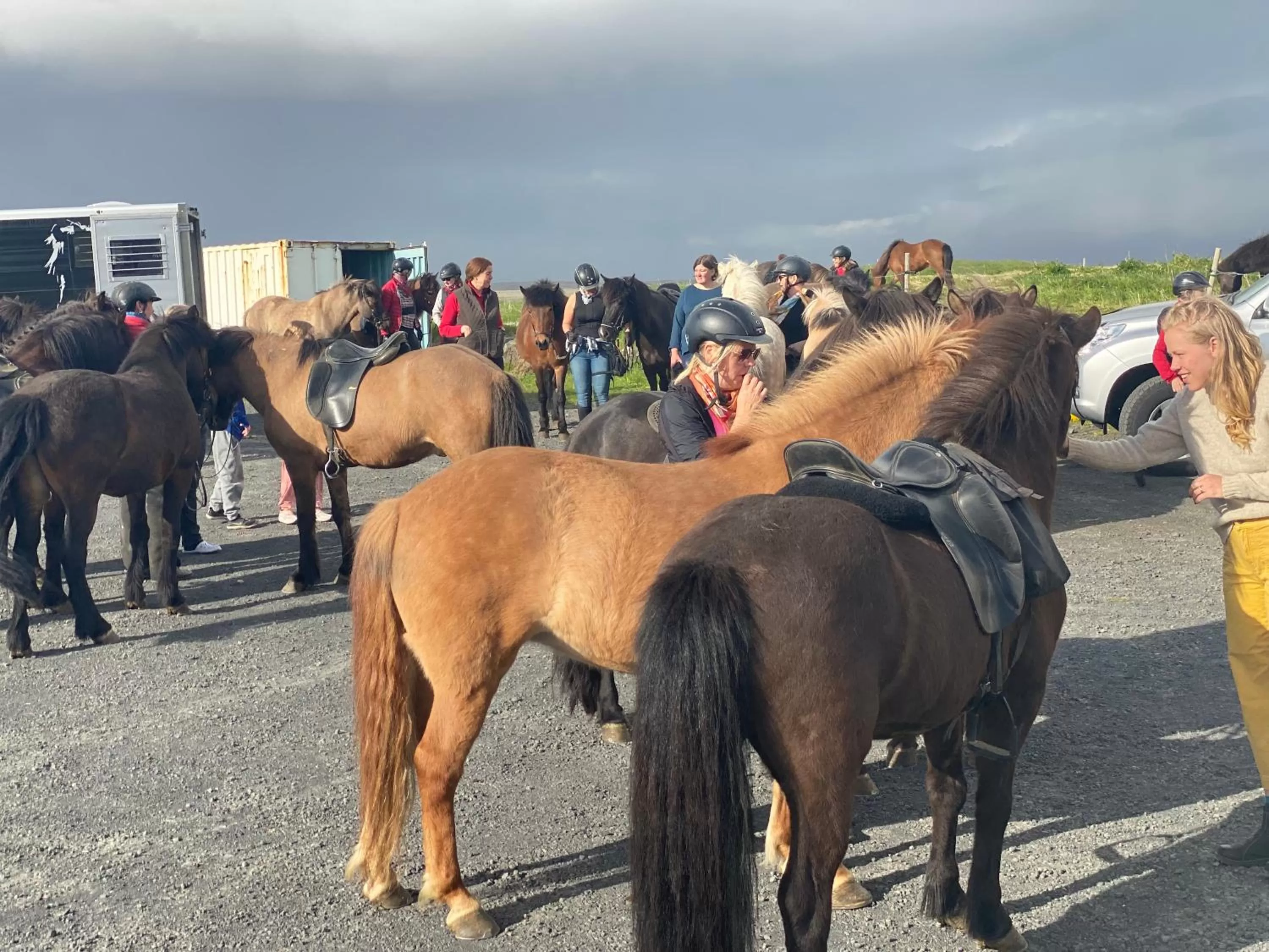 Day in Guesthouse Bitra B&B