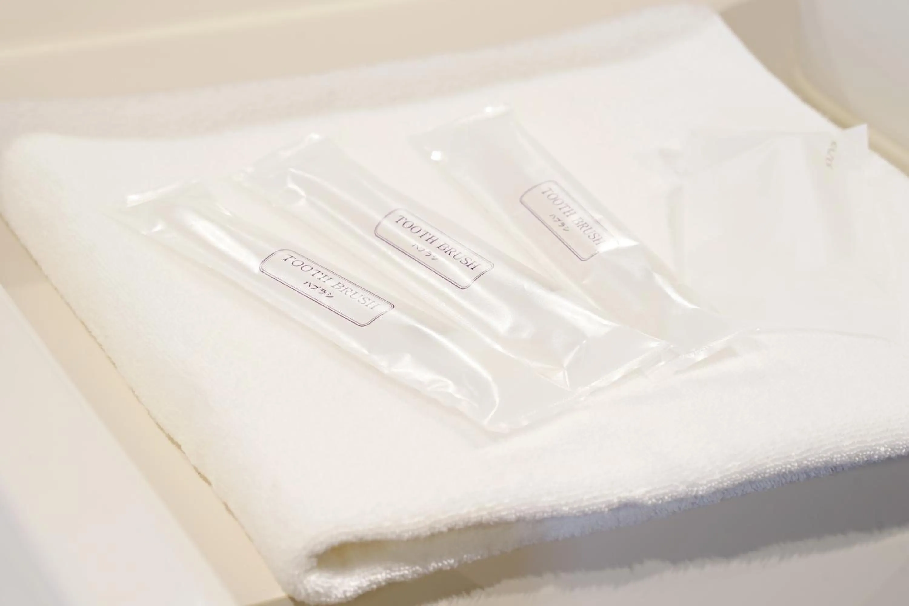 Other in Santiago Guesthouse Naha