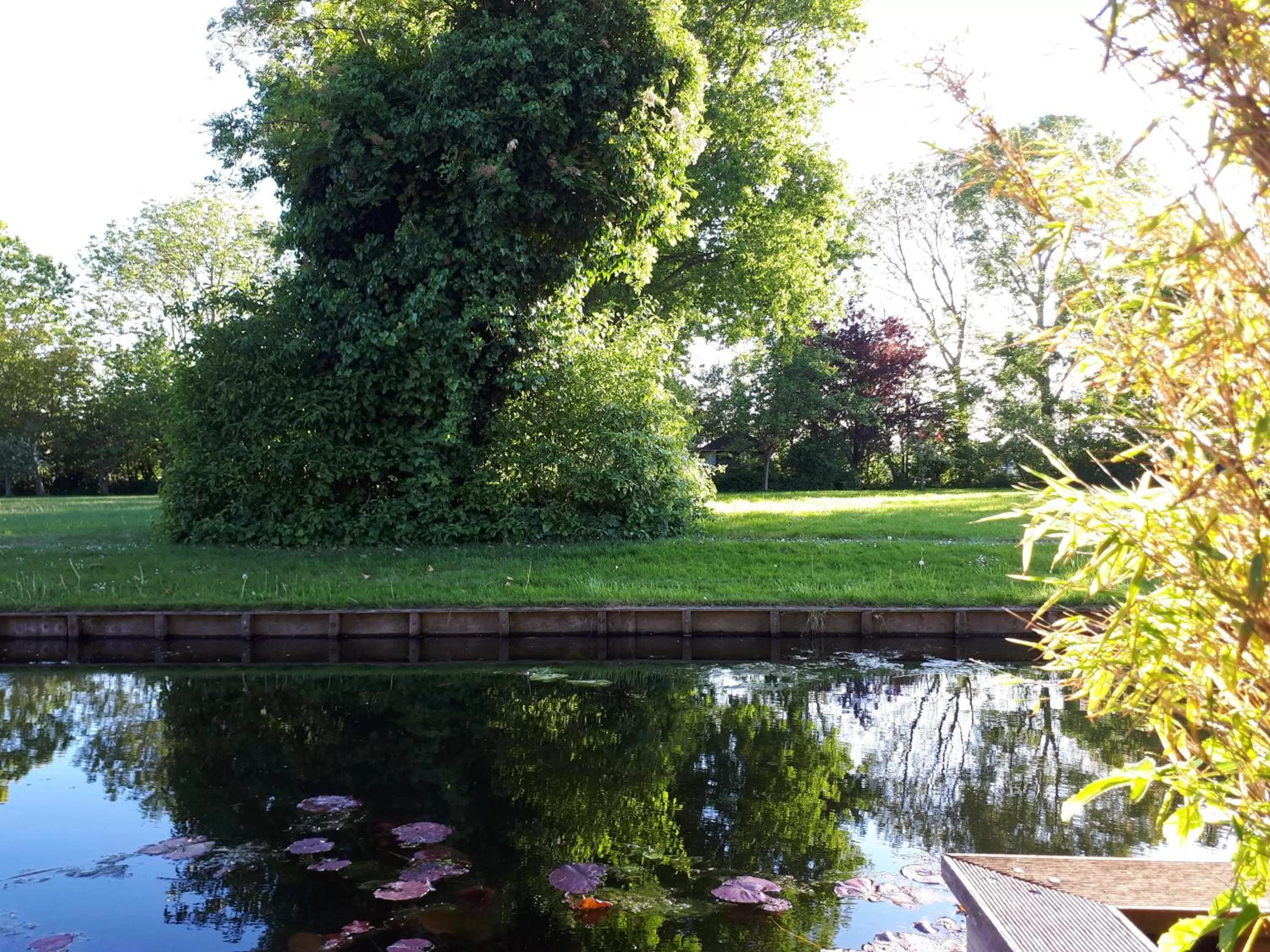 Garden in B&B Het Molensteegje