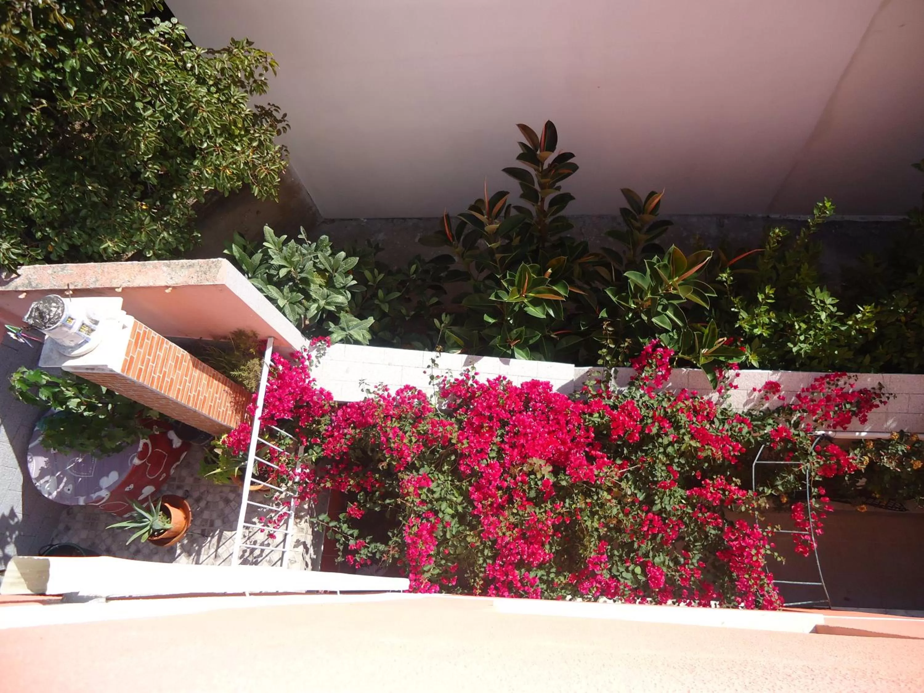 Decorative detail in Hotel Aviz