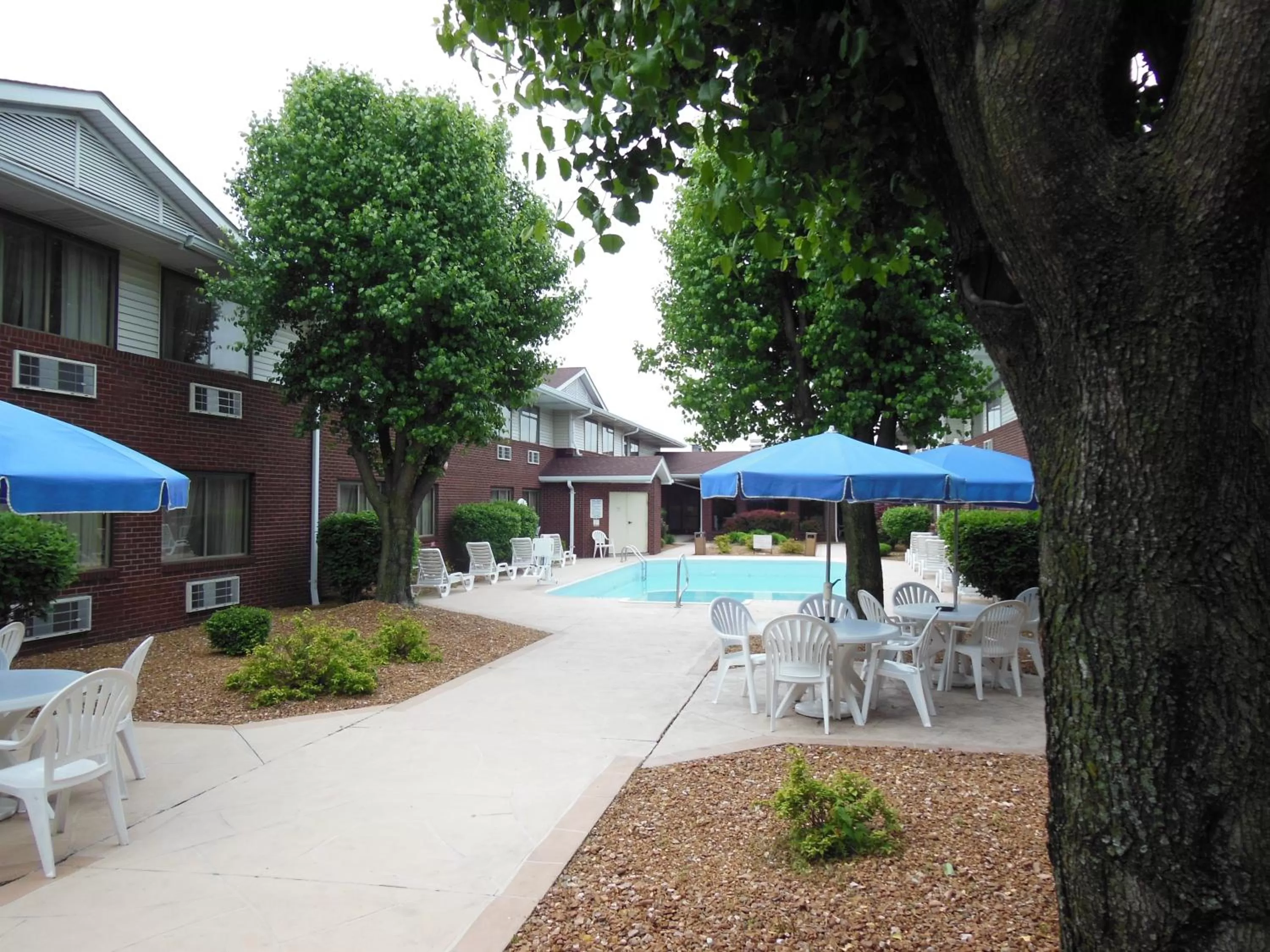 Swimming pool in Super 8 by Wyndham O'Fallon