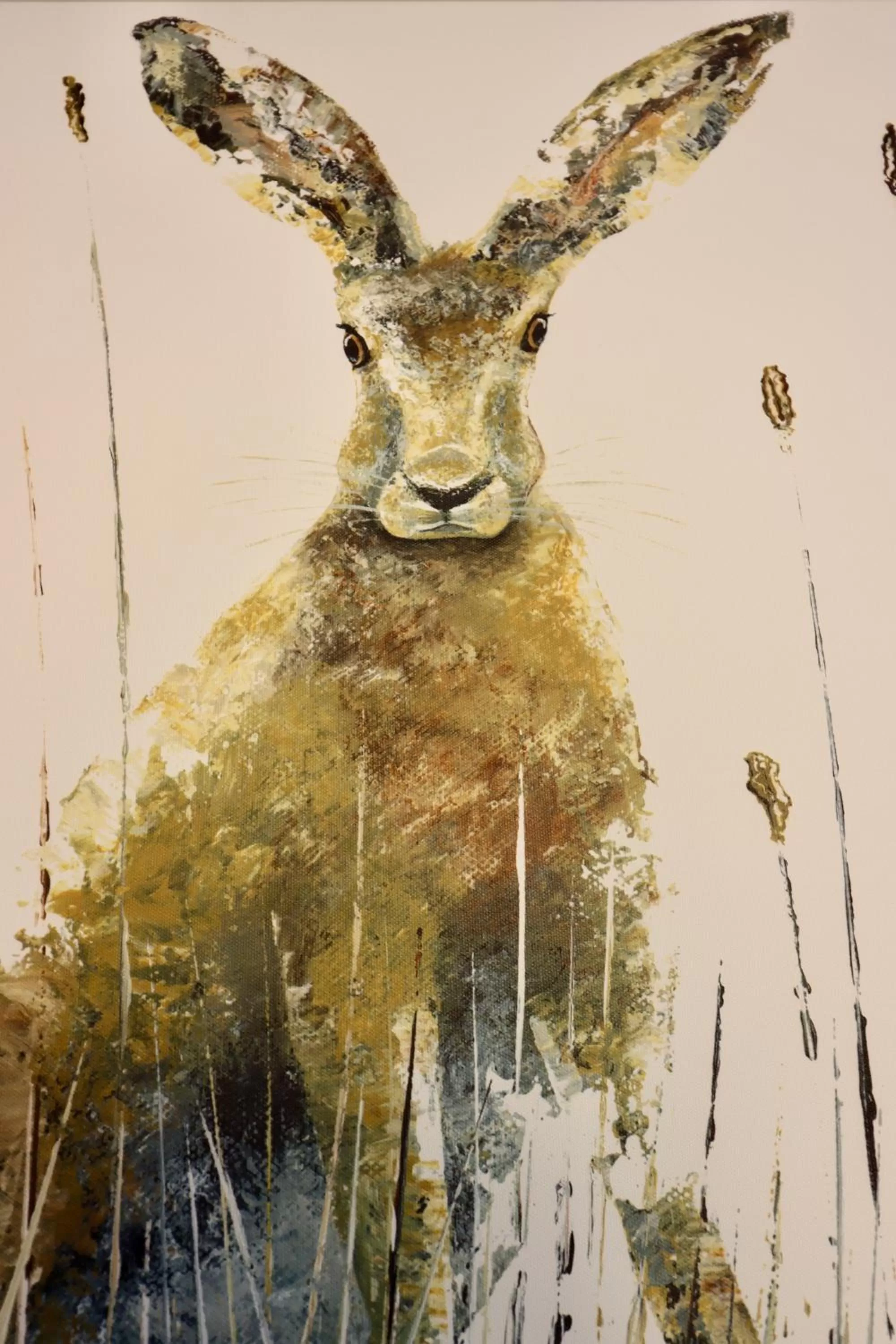 Animals in The New Inn Halse