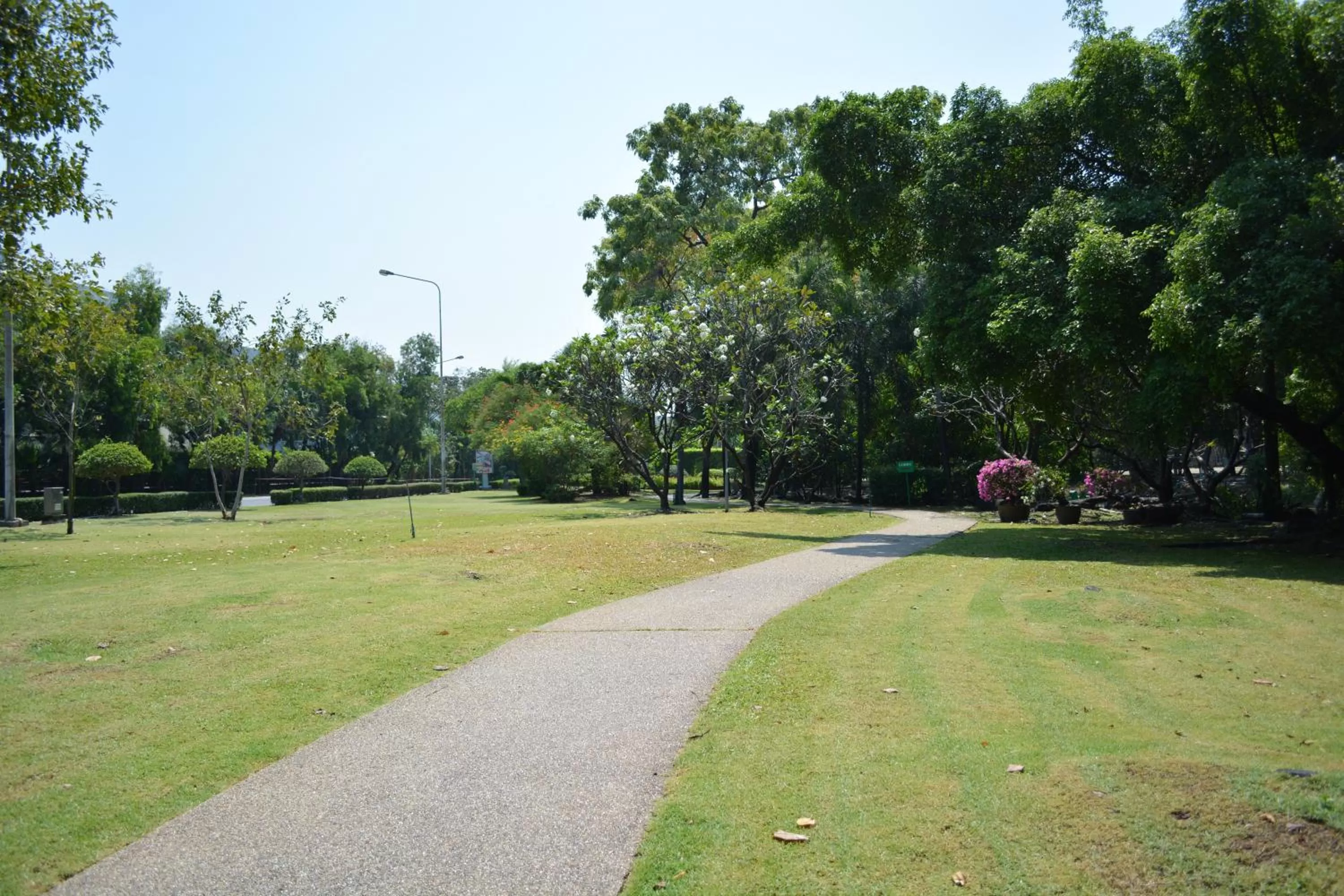 Garden in Rama Gardens Hotel Bangkok