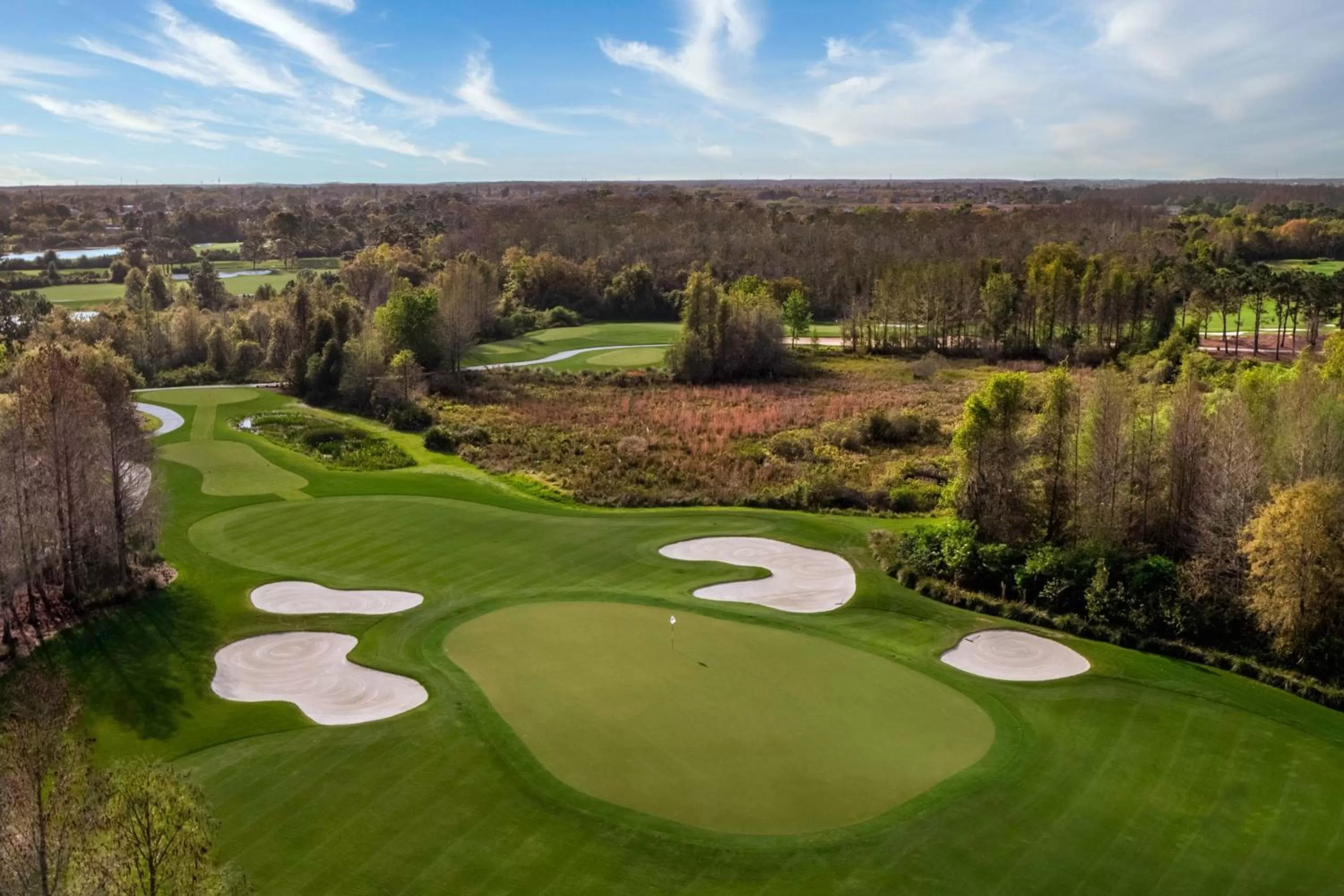 Other in The Ritz-Carlton Orlando, Grande Lakes