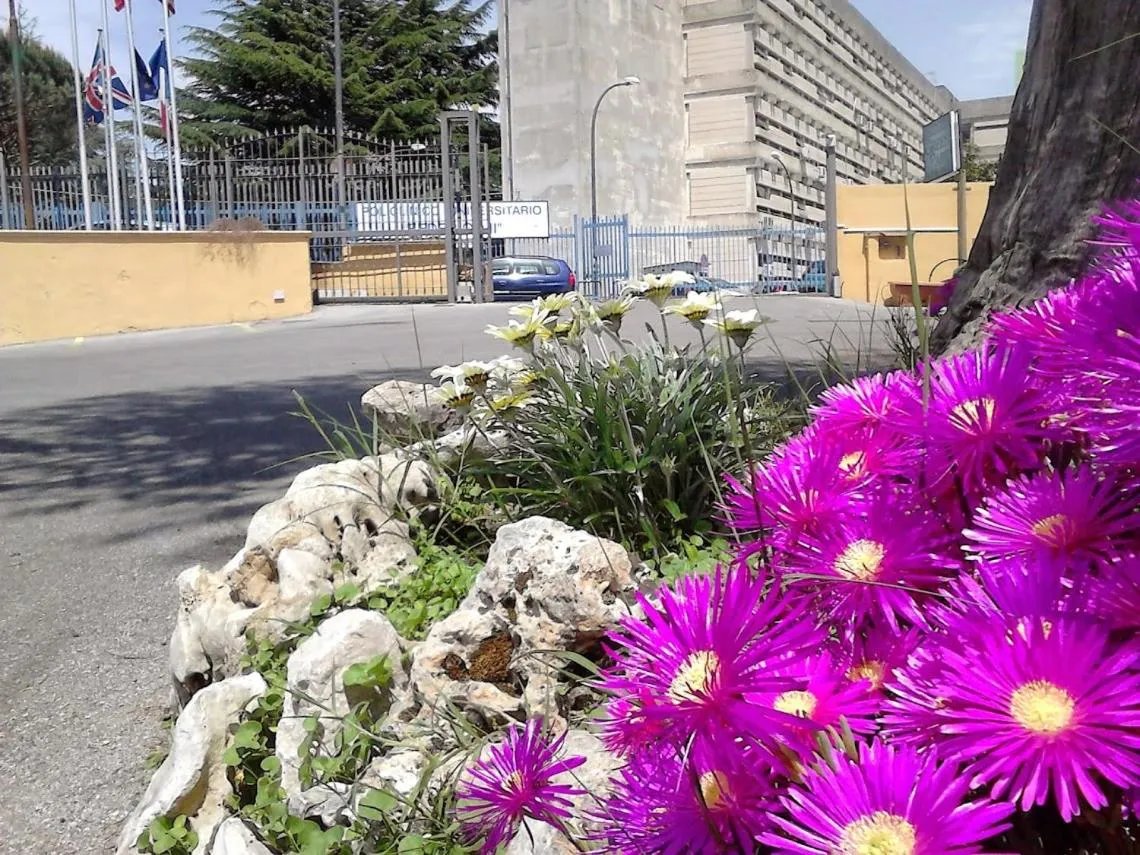 Spring in Green Park Hotel