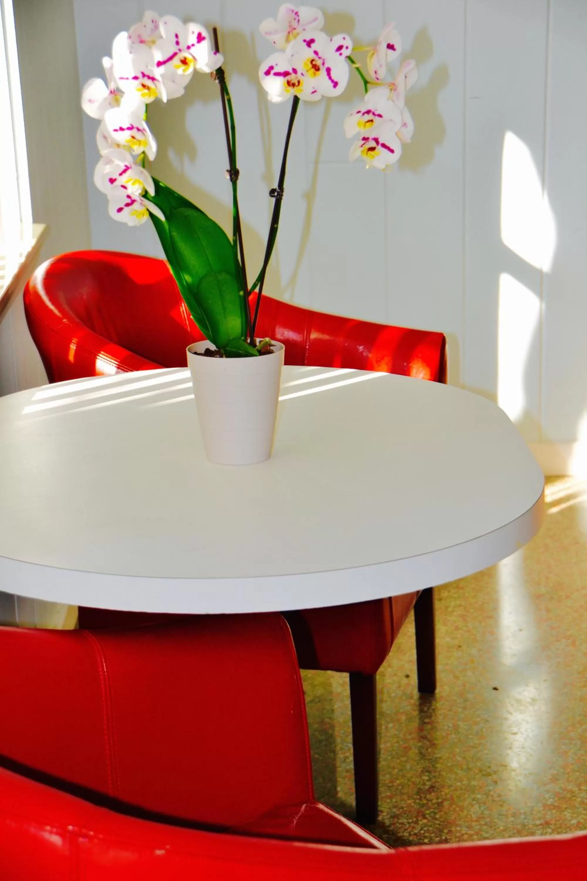 Other, Dining Area in Sea Turtle Inn