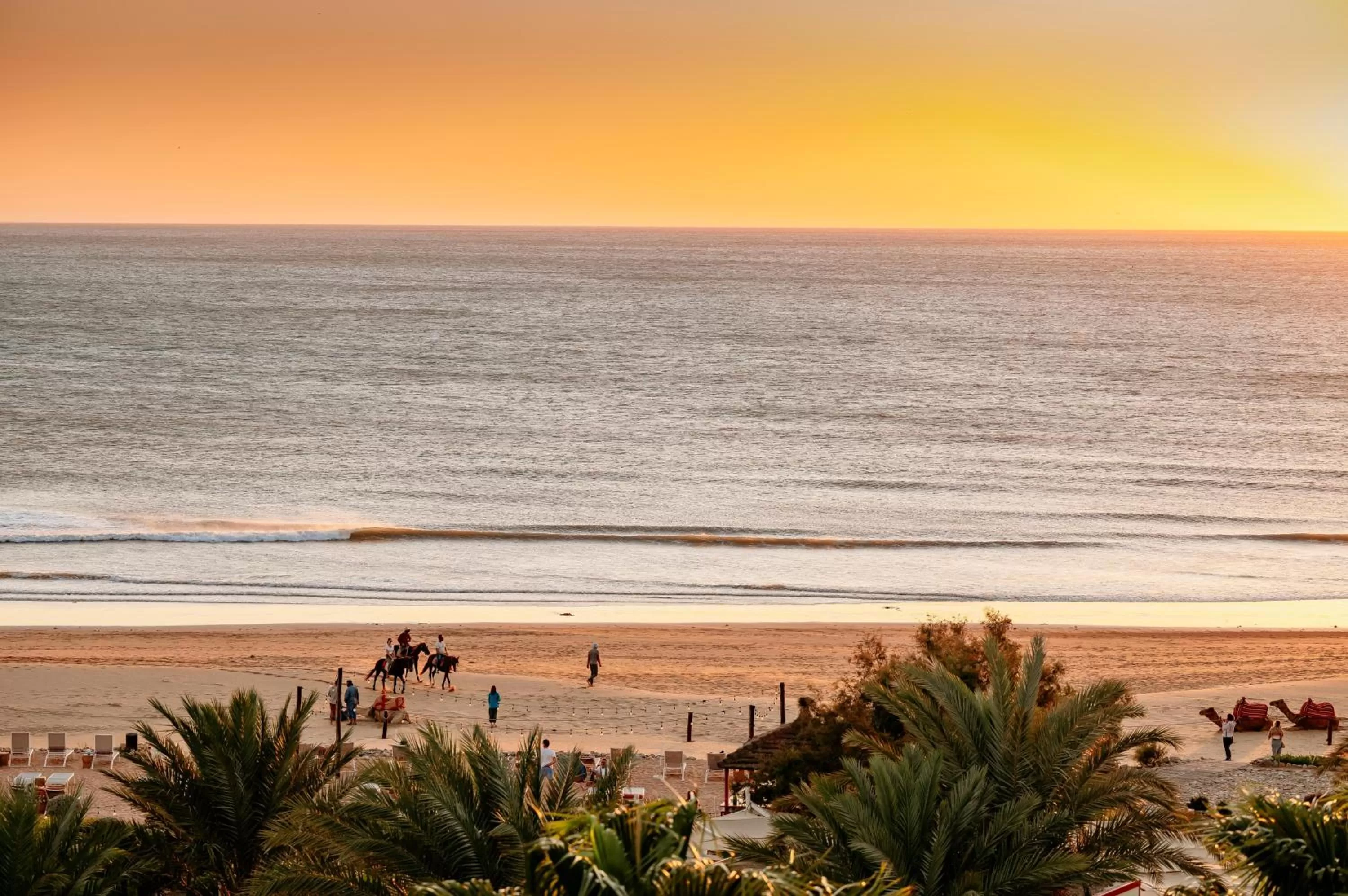 Natural landscape in Paradis Plage Surf Yoga & Spa