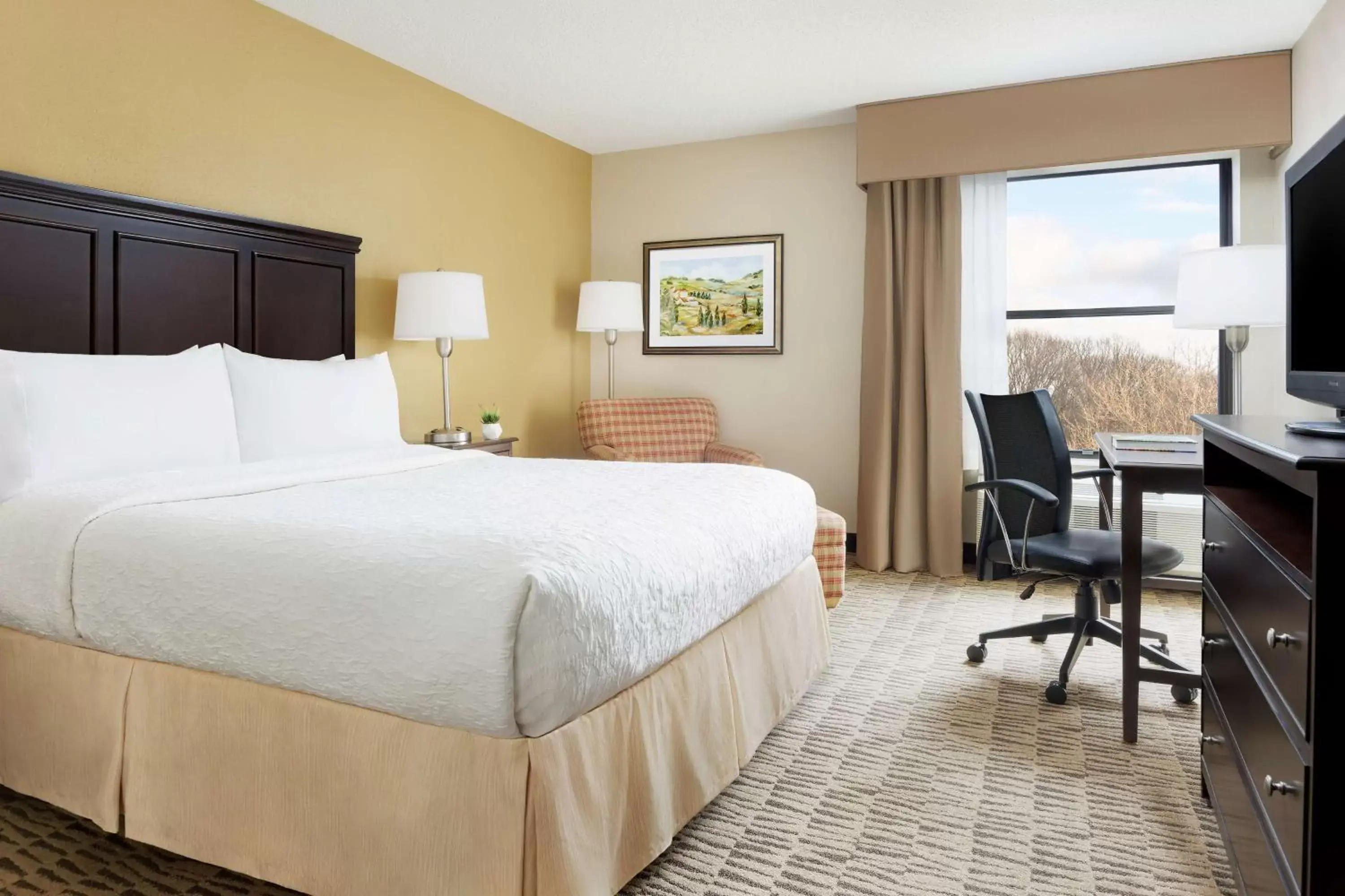 Queen Room - Non-Smoking in Hampton Inn Jackson Queen Room - Non-Smoking in Hampton Inn Jackson