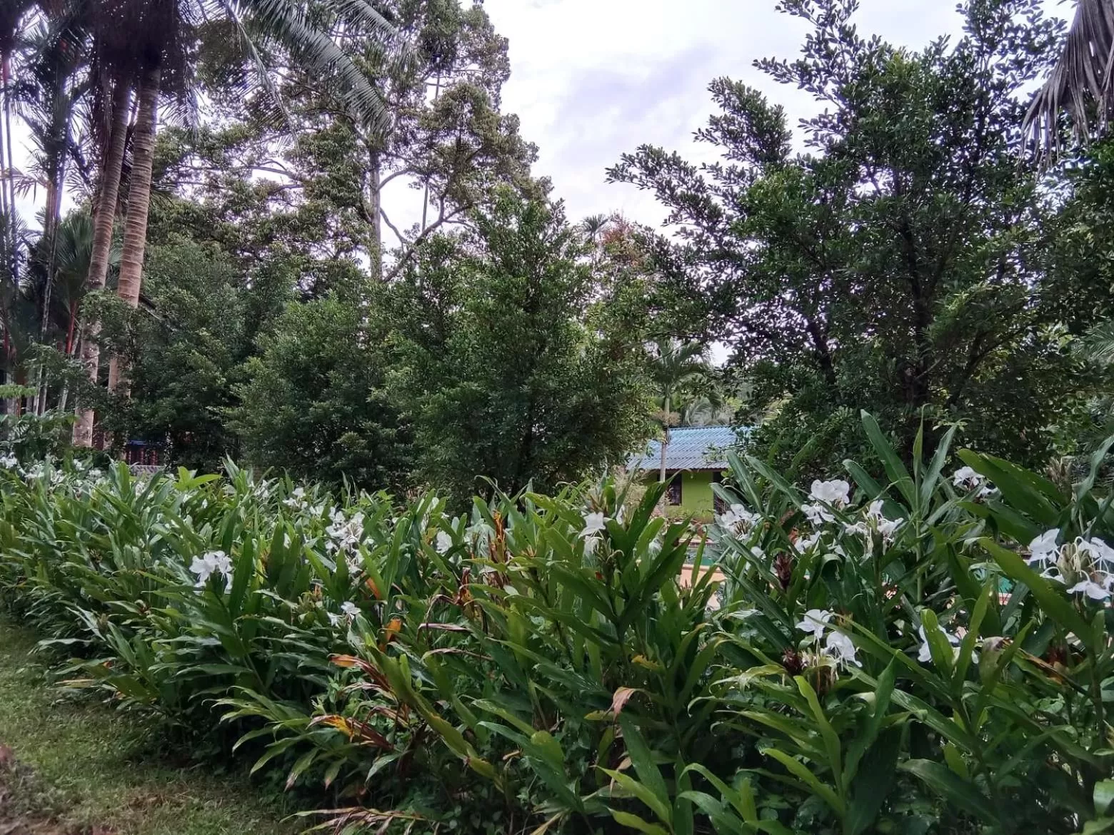 Tree Tops River Huts