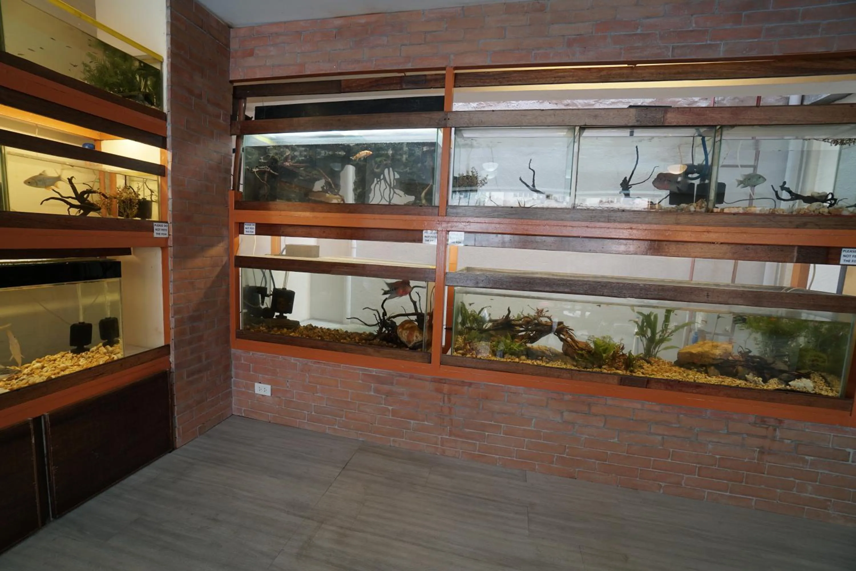 Lounge or bar in 1775 Adriatico Suites