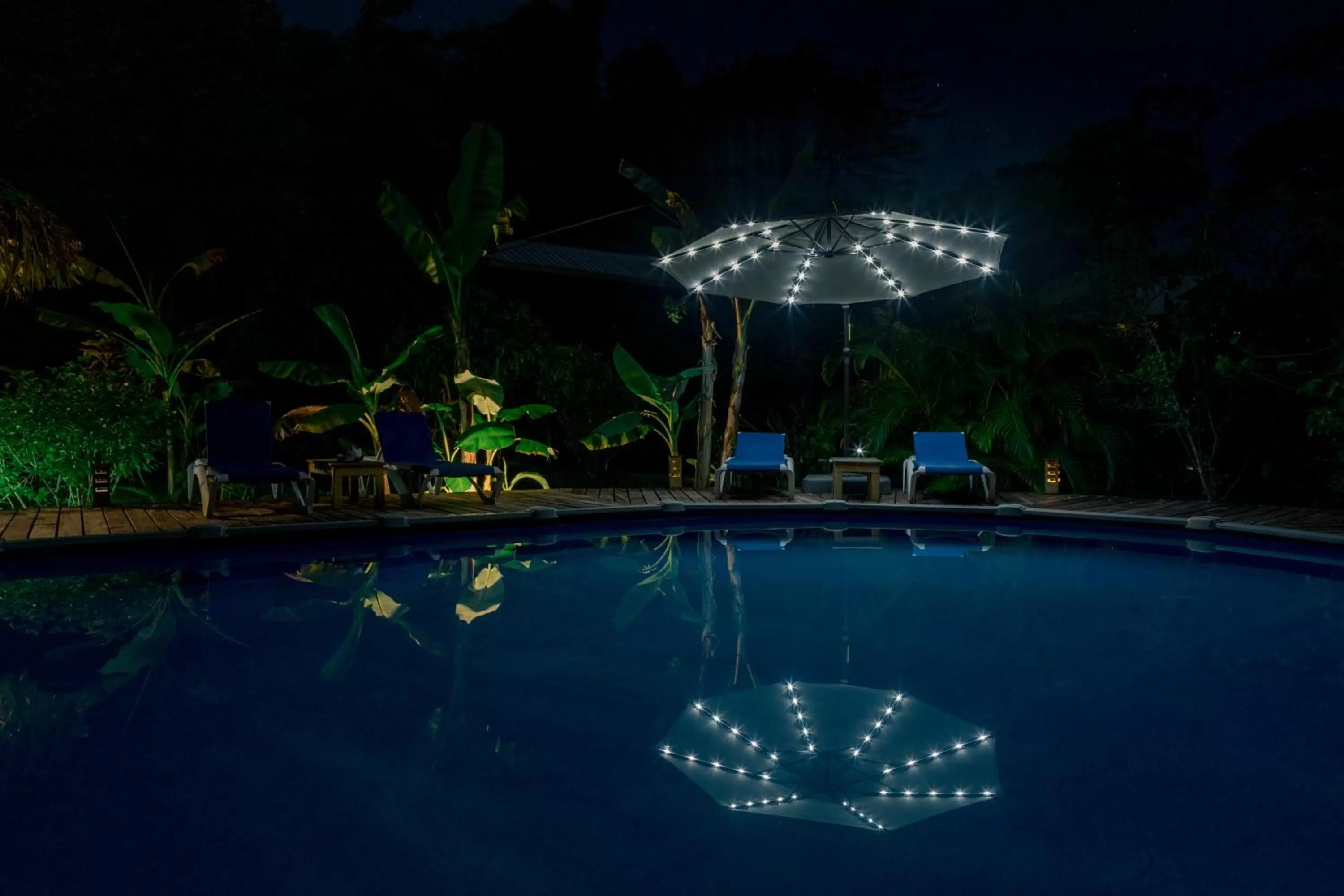 View (from property/room) in The Hummingbird