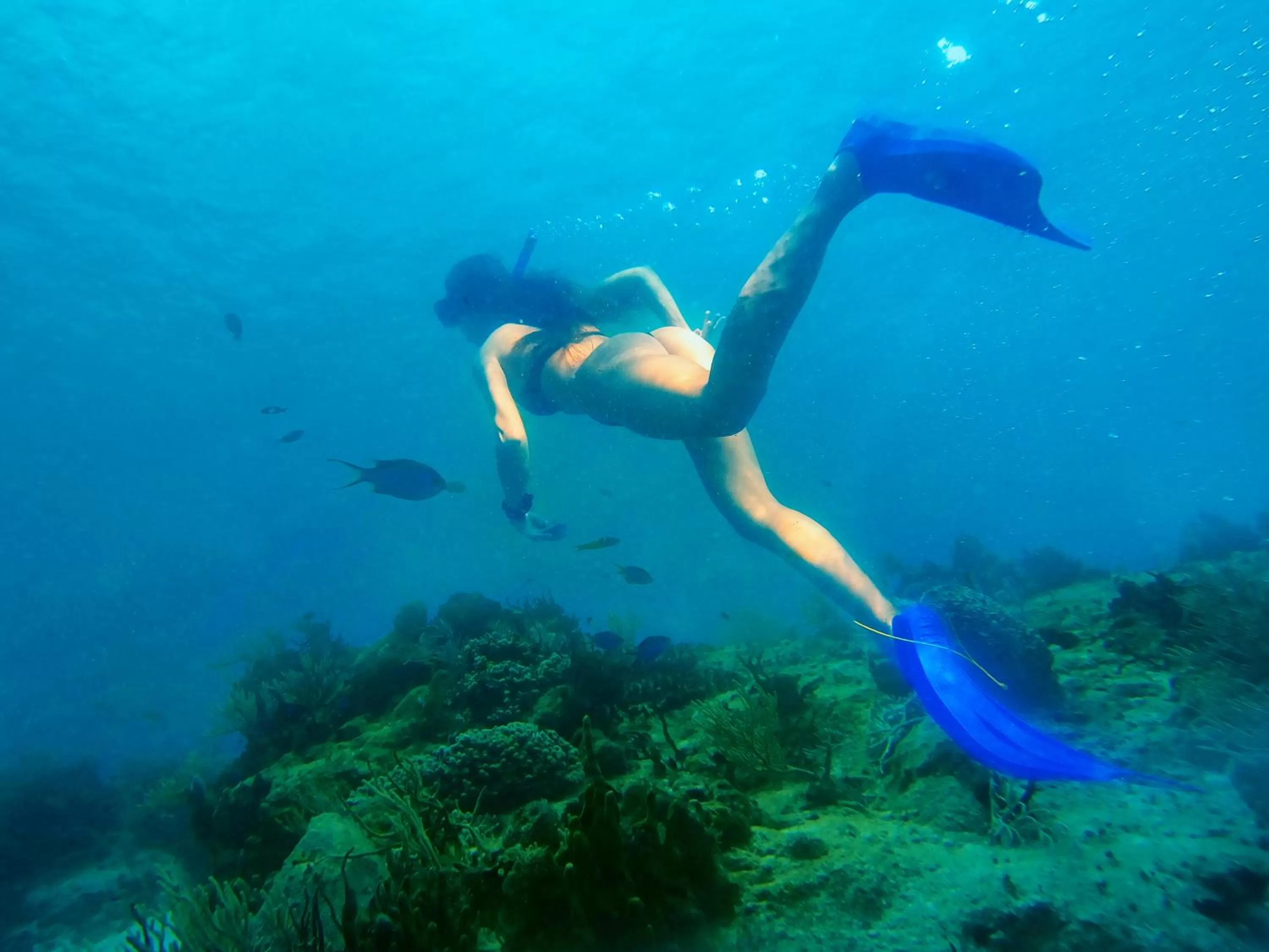 Snorkeling in Enigmatic Hotel Experience